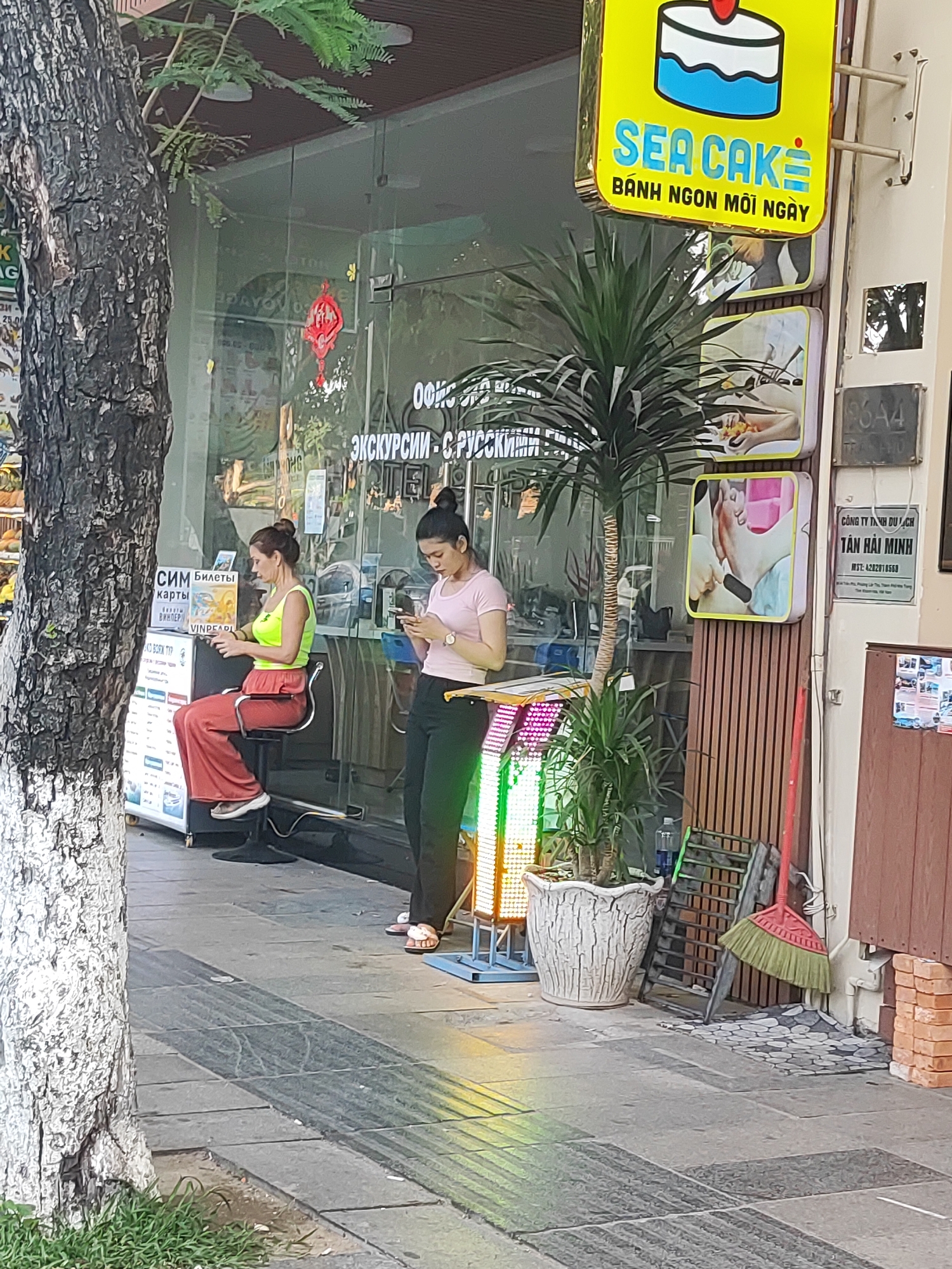 In Nha Trang Ward, Vietnam, a street scene captures two women interacting with their mobile devices outside a shop with a prominent "SEA CAKE" sign. The woman on the left, seated on a black stool, wears a bright yellow top and red pants. She is looking down at her phone, which she holds in her hands. Beside her, a stand displays various informational materials and what appear to be SIM cards and tickets. The woman on the right, standing, is dressed in a pink top and dark pants, also focused on her phone. In front of them, a large potted plant adds a touch of greenery to the urban setting. Behind the women, the shop's glass facade reflects the surrounding environment. To the right of the shop entrance, a broom leans against the wall, and a stack of bricks sits near the ground. The sidewalk is paved with concrete tiles, with a textured, darker strip running across it, likely for tactile guidance. A mature tree with a textured bark stands in the foreground, its branches partially obscuring the shop's upper signage. The overall atmosphere suggests a typical commercial street in a Vietnamese city.