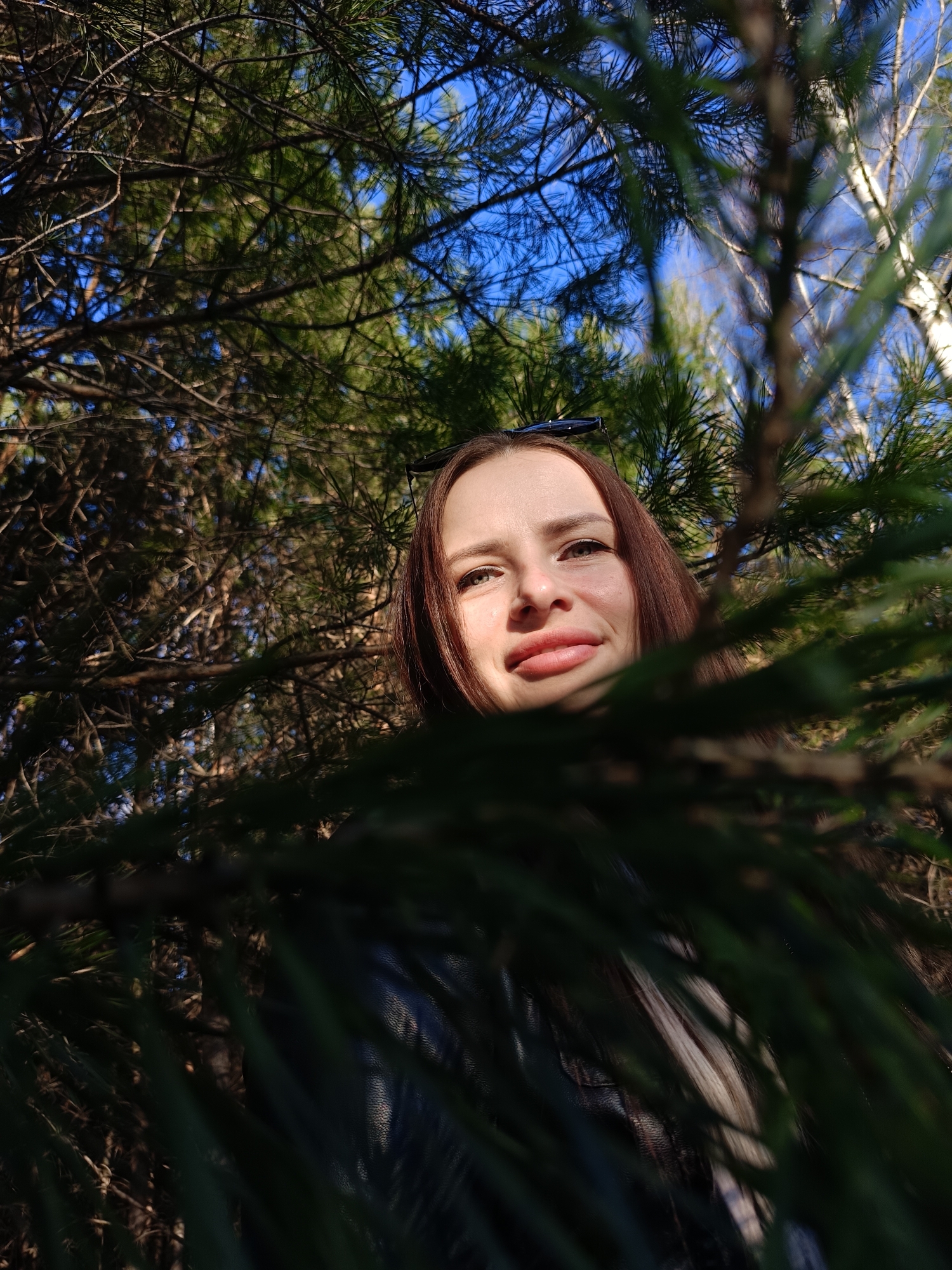 A young woman is captured in a close-up, low-angle portrait amidst a natural forest setting. She is seen from the chest up, with long, dark brown hair flowing around her shoulders. Sunglasses are perched on the top of her head. She wears a dark jacket, possibly leather, visible on her shoulders and chest.
The woman is looking slightly upwards and to her left, displaying a gentle, relaxed expression with a subtle, closed-mouth smile. Her eyes appear light-colored, reflecting the bright outdoor light.
The foreground is heavily blurred by dense, dark green pine needles and branches, which create a natural frame around her face. Beyond her, the background features more pine trees and bare branches, with distinct patches of clear blue sky visible. In the upper right, lighter-barked trees, potentially birch, are also visible, suggesting a mixed forest.
The bright natural light indicates a sunny daytime scene, likely during mid-morning or late afternoon, given the clear sky and the way sunlight illuminates her face. The overall mood is peaceful and serene. There is no visible text in the image. The location aligns with a wooded area or forest, consistent with Chaikovsky, Russia.