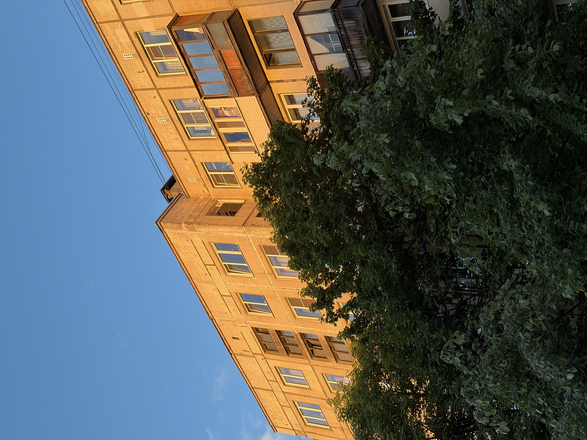 The image captures a view of a multi-story residential building in Saint Petersburg, Russia, during what appears to be late afternoon or early evening, as evidenced by the warm, golden sunlight illuminating the facade. The building is constructed with light-colored bricks and features numerous windows and several balconies. Some balconies are enclosed with glass, while others appear to be open. Lush green trees with dense foliage are in the foreground, partially obscuring the lower floors of the building. The sky above is a clear, bright blue with a few faint clouds visible. Power lines are also visible strung across the upper portion of the image. No people are visible in the scene.