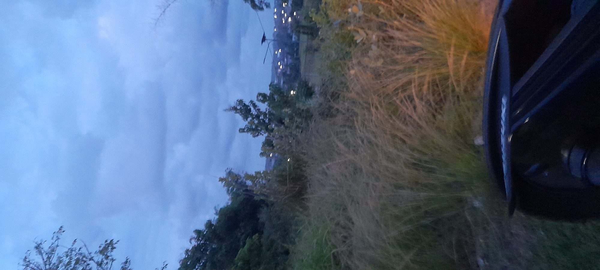 The image shows a landscape at dusk or dawn in what may be Meunasahteungkudigadong, Indonesia. A dark object, likely a car based on its shape, is in the right foreground. Overgrown vegetation, including tall grass and trees, occupies the center. In the background, indistinct lights suggest a distant cityscape. The sky is cloudy.