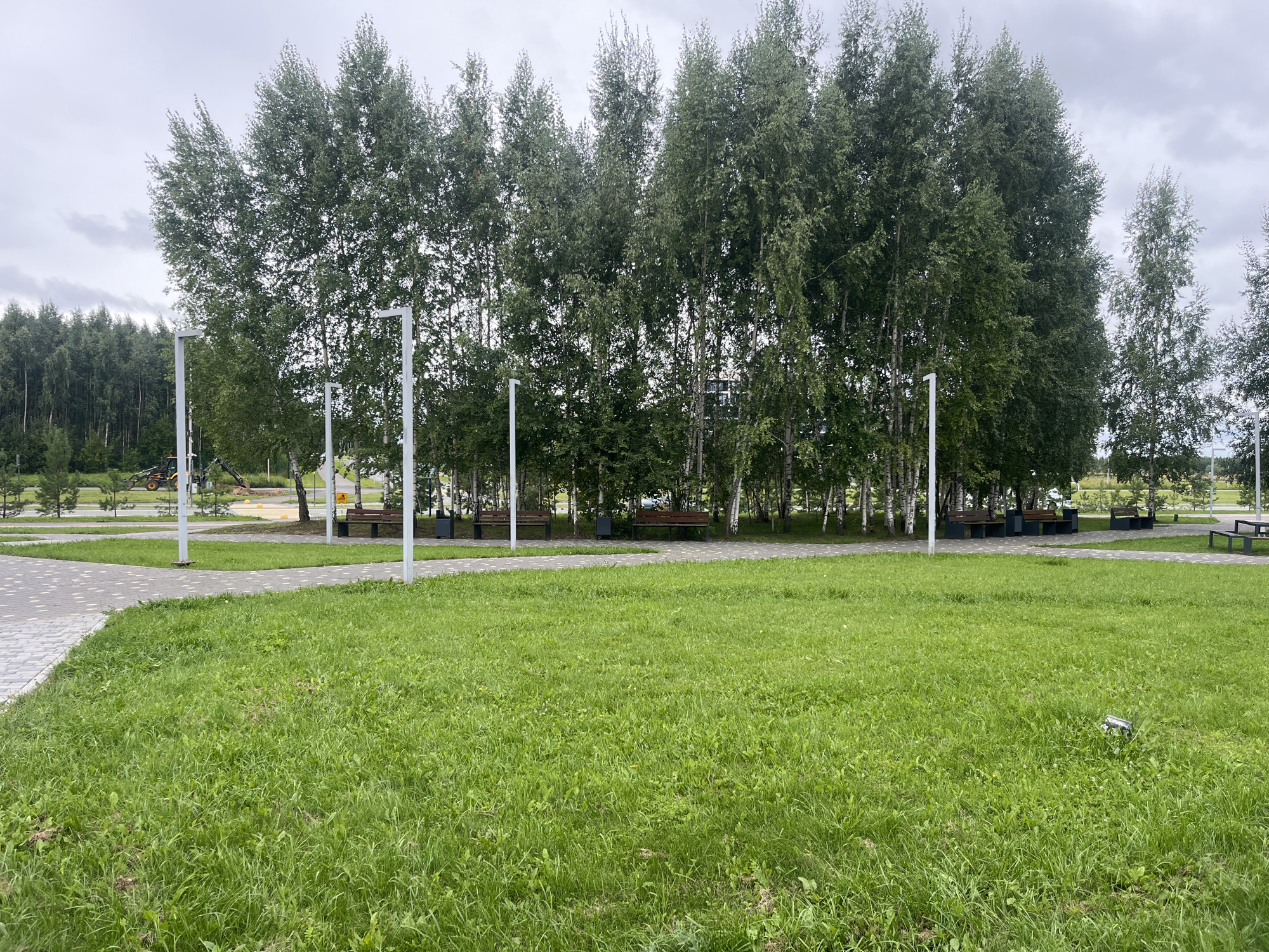 The image captures a park scene in Innopolis, Russia, featuring a grassy lawn in the foreground and a line of birch trees in the midground. Several white lampposts are visible in front of the trees, and park benches are situated along a paved pathway behind them. In the background, a dense forest can be seen, with a construction vehicle present on the left side. The sky is overcast with clouds.