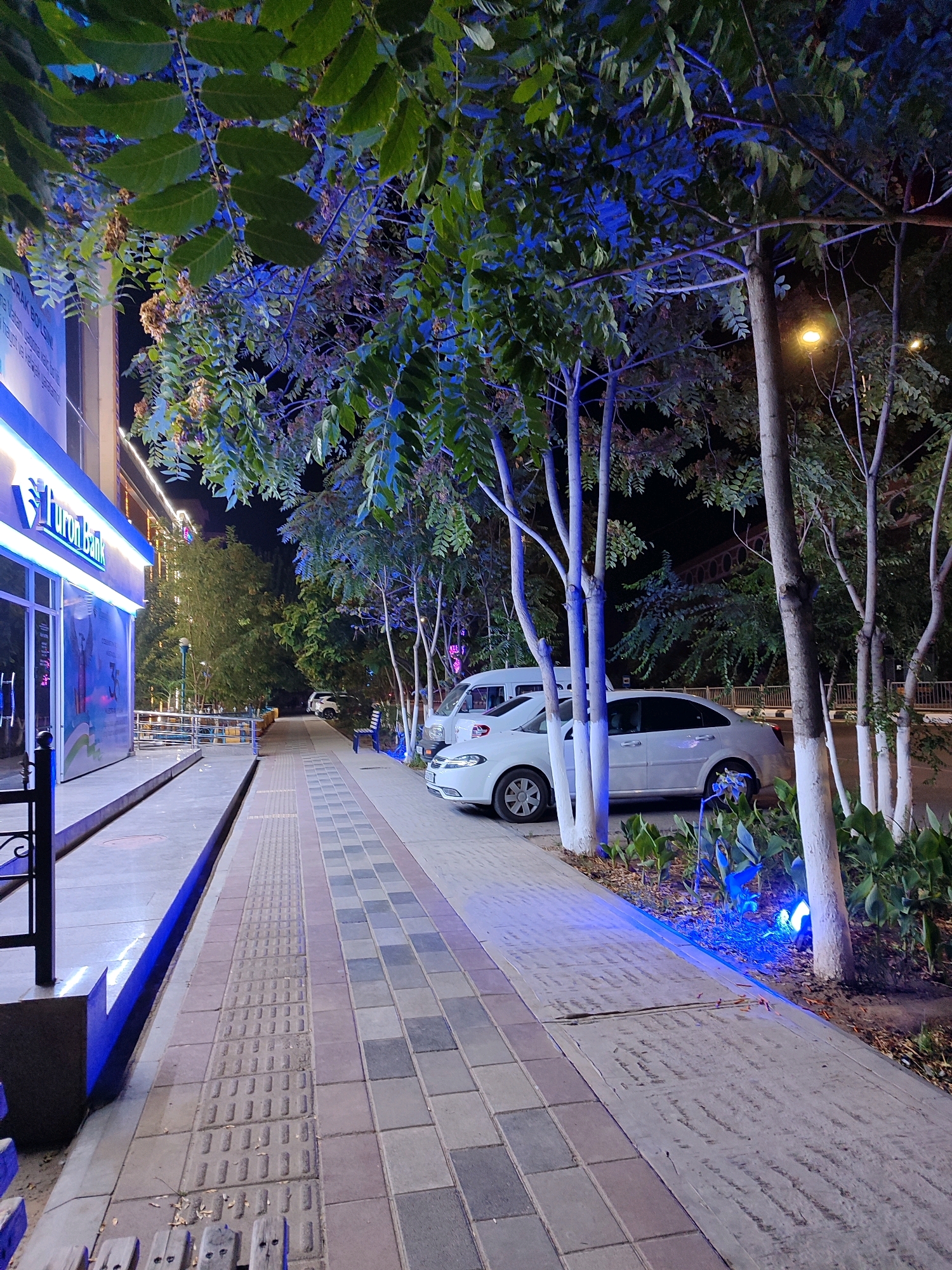 The image depicts a street scene at night in Nukus, Uzbekistan, likely in front of a bank. The foreground features a paved sidewalk with a tactile paving strip for visually impaired pedestrians. To the left, the facade of a building with a prominent "Turon Bank" sign, illuminated with blue LED lights, is visible. The building has large glass windows. Adjacent to the sidewalk is a raised planter bed with vegetation and trees whose trunks are painted white. Blue accent lighting illuminates the plants and tree bases. Further down the sidewalk, several cars are parked, including a white sedan and a white van. Street lights are visible in the background, and the trees overhead are lit with blue and white lights, casting a cool glow on the scene. The overall atmosphere is one of a well-lit urban environment at night.