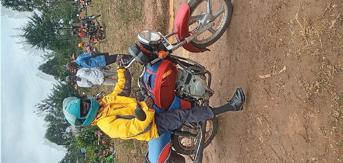 Memory