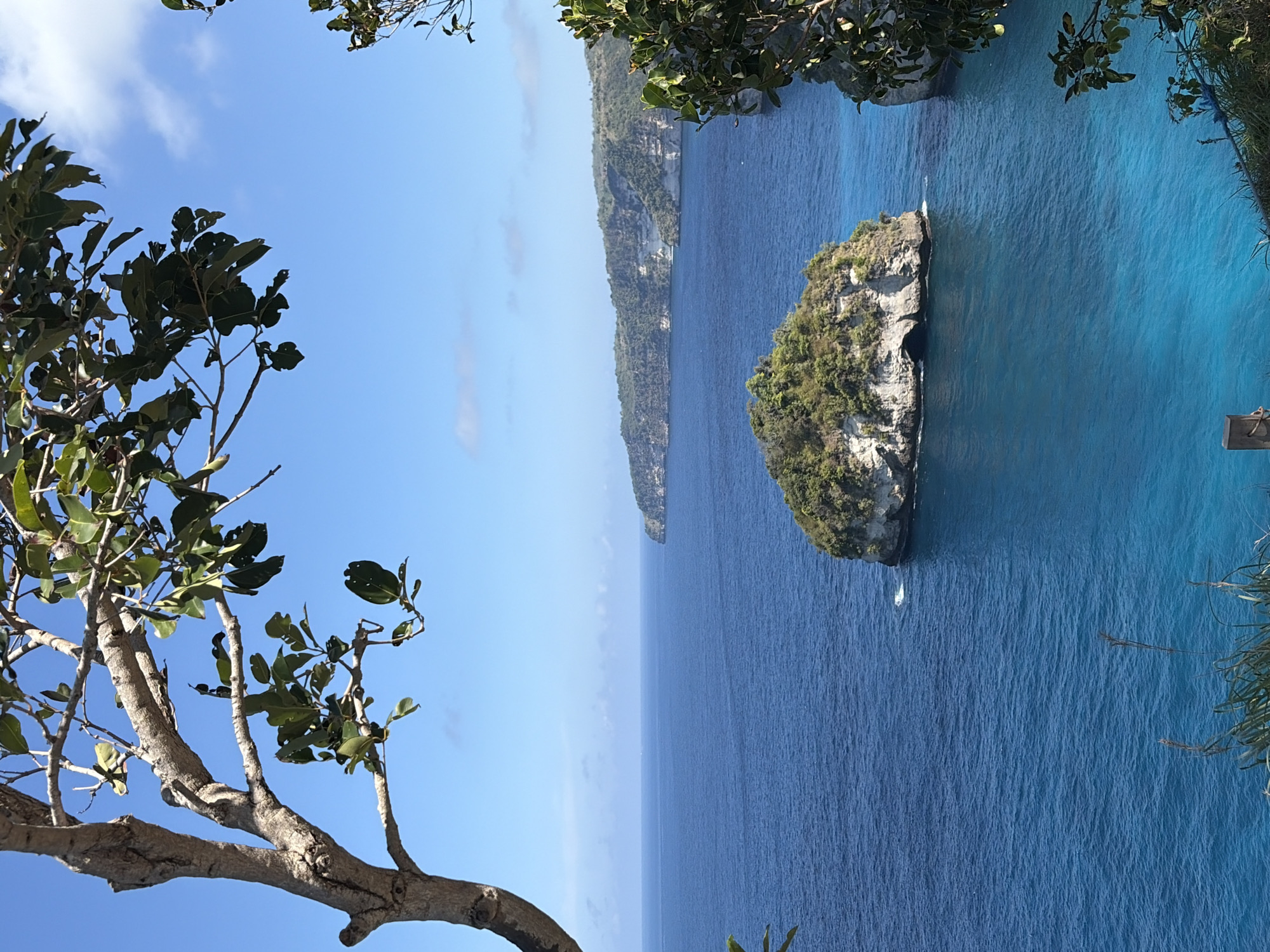 This is a landscape photograph taken from a high vantage point overlooking a tropical coastline. In the foreground, a large tree branch with green leaves extends from the left side of the frame, partially obscuring the view. The ocean dominates the mid-ground, displaying a gradient of deep blue to vibrant turquoise near the shore. A prominent, rocky island covered in lush green vegetation rises from the water in the center of the image. This island features a dark opening at its base, suggesting a cave or archway. In the background, a rugged, cliff-lined coastline stretches across the horizon, with the landmass covered in trees and vegetation. The sky is a clear, bright blue with a few wispy white clouds. The scene suggests a location in Nusa Penida, Indonesia, likely a scenic viewpoint such as Thousand Islands Viewpoint or Diamond Beach, known for their dramatic coastal formations and clear blue waters. No people or immediate actions are visible in the image.