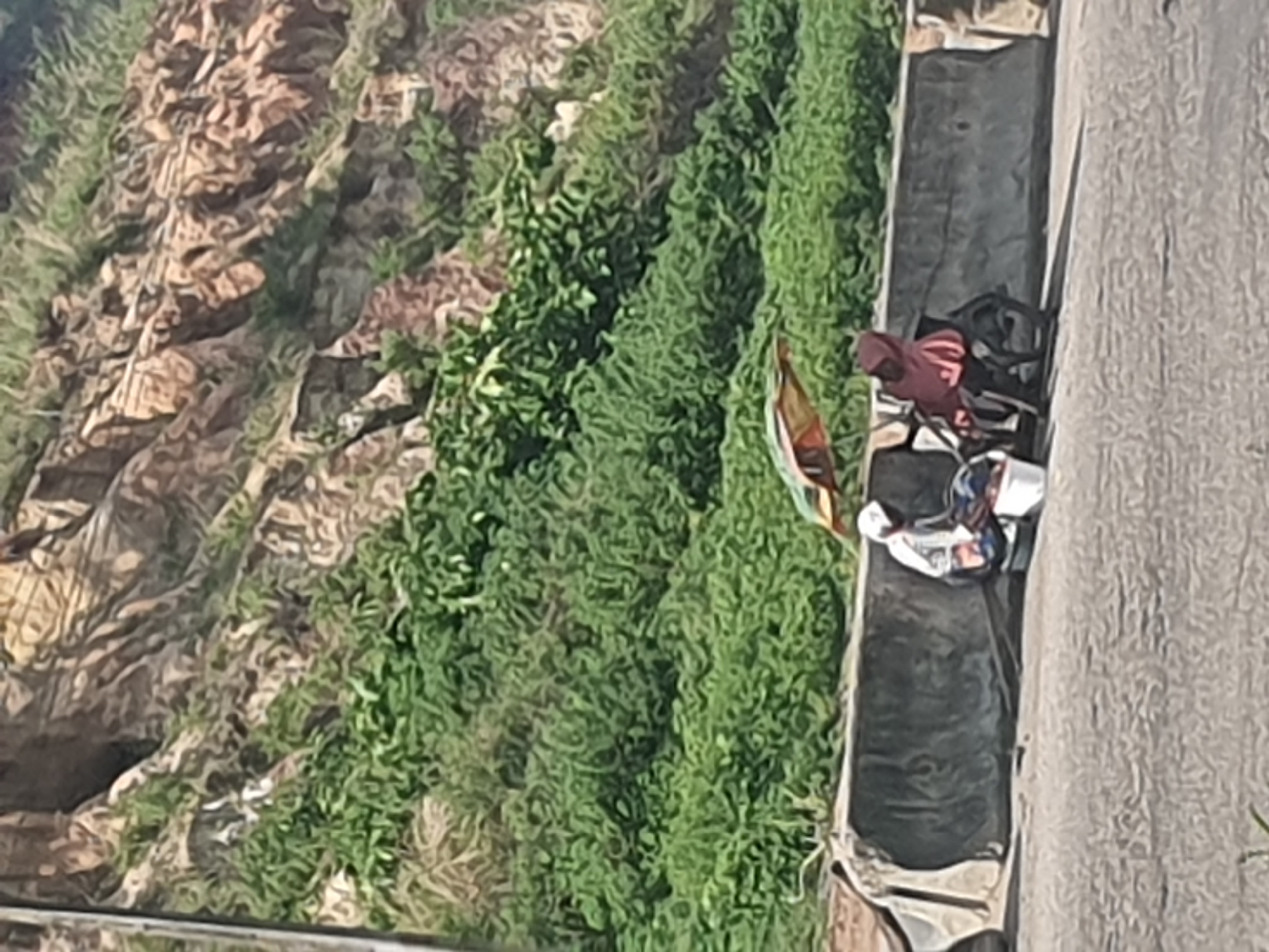 Two individuals are seated next to a concrete barrier, with a rocky, vegetated hillside in the background. One person, dressed in white, is facing towards the left of the frame and appears to be sorting through items in a white bucket. The second person, wearing a red garment, is seated on a bicycle-like contraption behind the first individual. A colorful umbrella provides shade over both people and the bicycle. The ground in front of the barrier is paved, suggesting a road or walkway. The scene appears to be located in Lokoja, Nigeria.