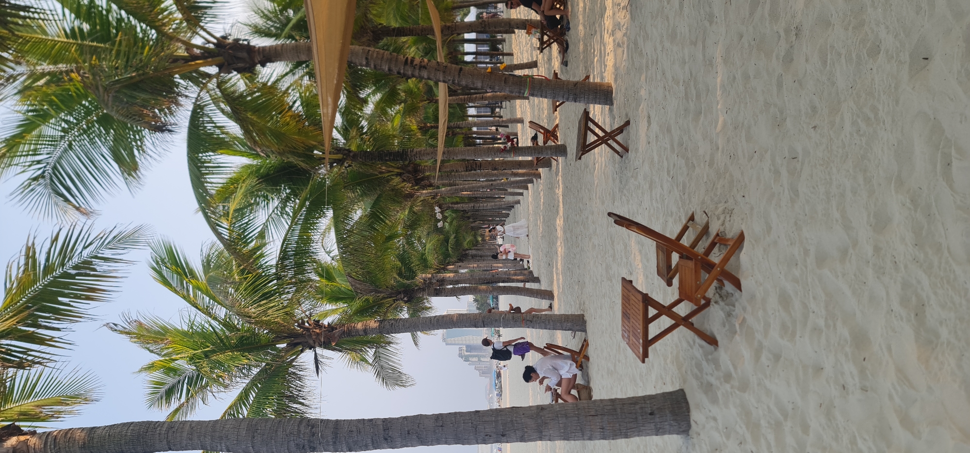 The image captures a serene, palm tree-lined beach scene in Đà Nẵng, Vietnam, likely during the late afternoon or early morning given the soft lighting. A long, straight row of numerous tall palm trees with lush green fronds stretches into the distance, forming a natural corridor along a wide, light-colored sandy beach. Above the trees, a clear, pale blue sky is visible.
Scattered on the soft, undulating sand are several wooden beach chairs and small tables, some folded. In the background, beyond the palm trees, a modern city skyline with tall buildings is discernible, indicating the urban coastal setting of Đà Nẵng. Light-colored fabric or canopy material is strung overhead between some of the palm trees in the mid-ground, and small white decorative elements, possibly flowers, hang from others.
Several people are present on the beach, engaged in leisurely activities. In the foreground, a person in a white top and dark pants is crouched near the sand, and another individual in a white t-shirt is also crouched nearby. Further down the tree-lined path, individuals are seen standing, walking, or resting. A person in a light pink dress and another in white are visible among the trees, while others appear to be seated at tables further back. The overall atmosphere conveys relaxation and enjoyment of the beach environment under clear weather conditions. No visible text is present in the image.