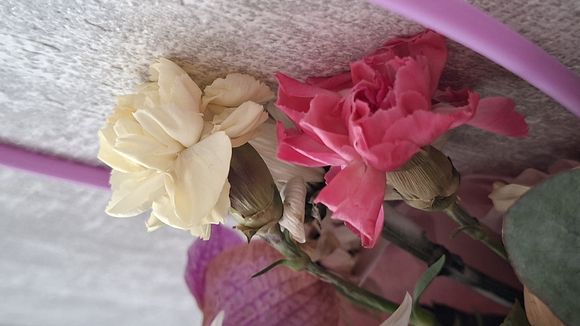 The image shows a close-up of a bouquet of flowers against a textured, light-colored wall. The bouquet contains a pale yellow carnation and a bright pink carnation, both with visible buds. There are also hints of purple orchid petals and green foliage. A pink, cylindrical object, possibly part of the bouquet's wrapping or a decorative element, is visible on the right side of the frame. The background wall has a rough, stucco-like texture. There are no people visible in the image. The scene is a still life composition of flowers. The image does not provide any information about the location in the city of Myadzyel, Belarus.
