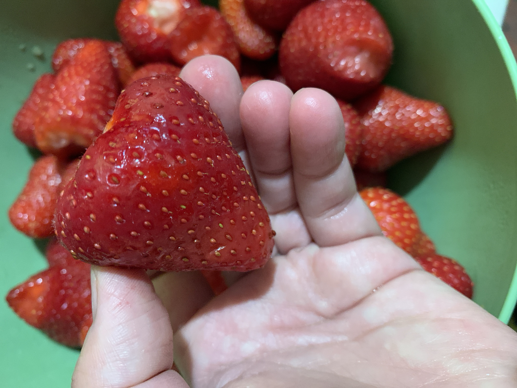 A close-up shot features a person's hand holding a large, red, triangular-shaped strawberry. The strawberry is covered in small, yellow seeds. The hand is positioned in front of a green bowl filled with more strawberries. The image is well-lit and in focus. Location: Unknown, Unknown.