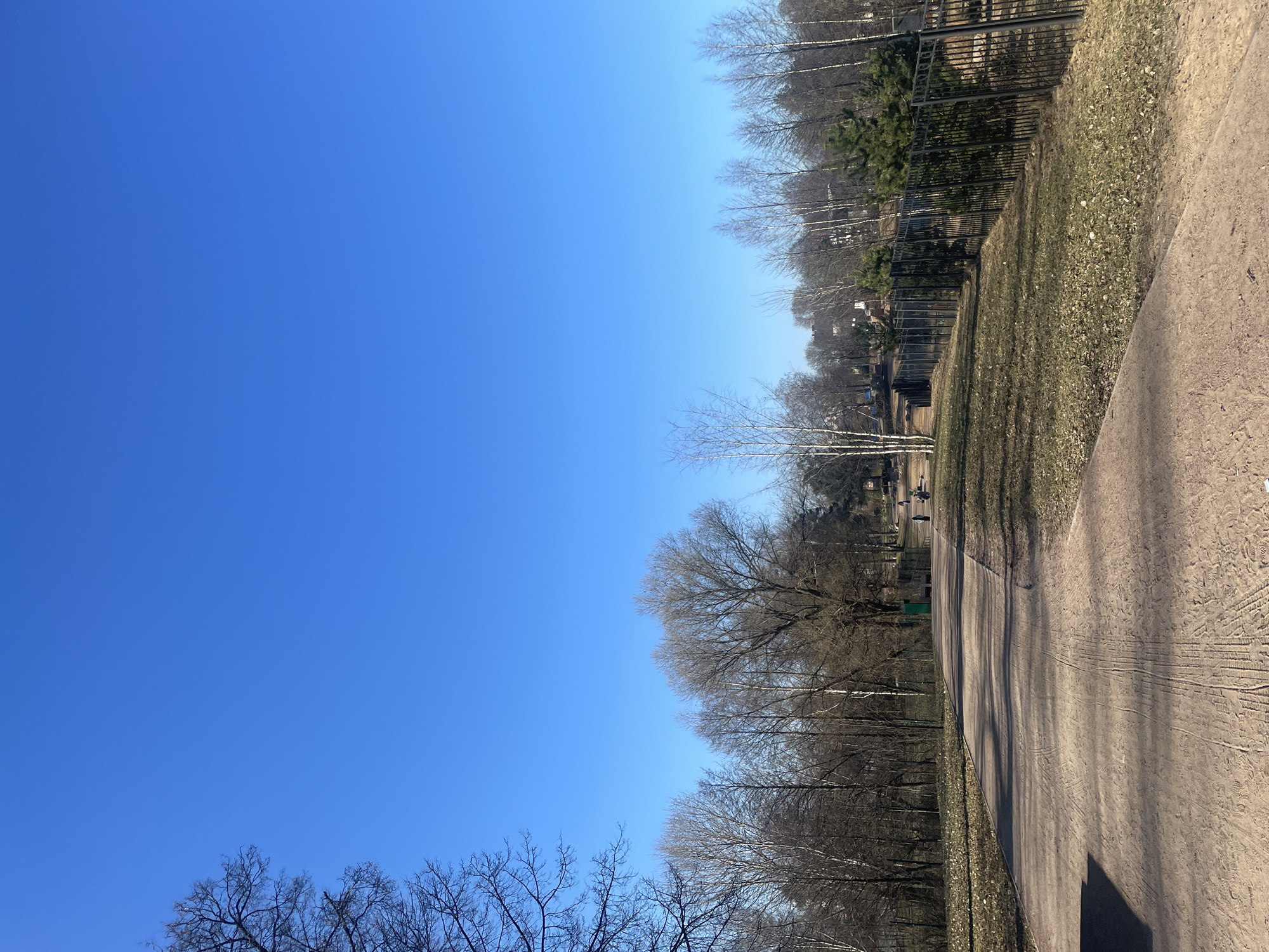A landscape shot, rotated counterclockwise 90 degrees, features a park path adjacent to a grassy area with trees against a clear blue sky. The path is dirt or gravel, showing tire tracks. A metal fence runs along the edge of the grassy area. The trees are bare, suggesting early spring or late fall. The photo was likely taken in Saint Petersburg, Russia, given the environment is a park with open space and trees, typical of urban green spaces in the city. There are no people visible in the image.