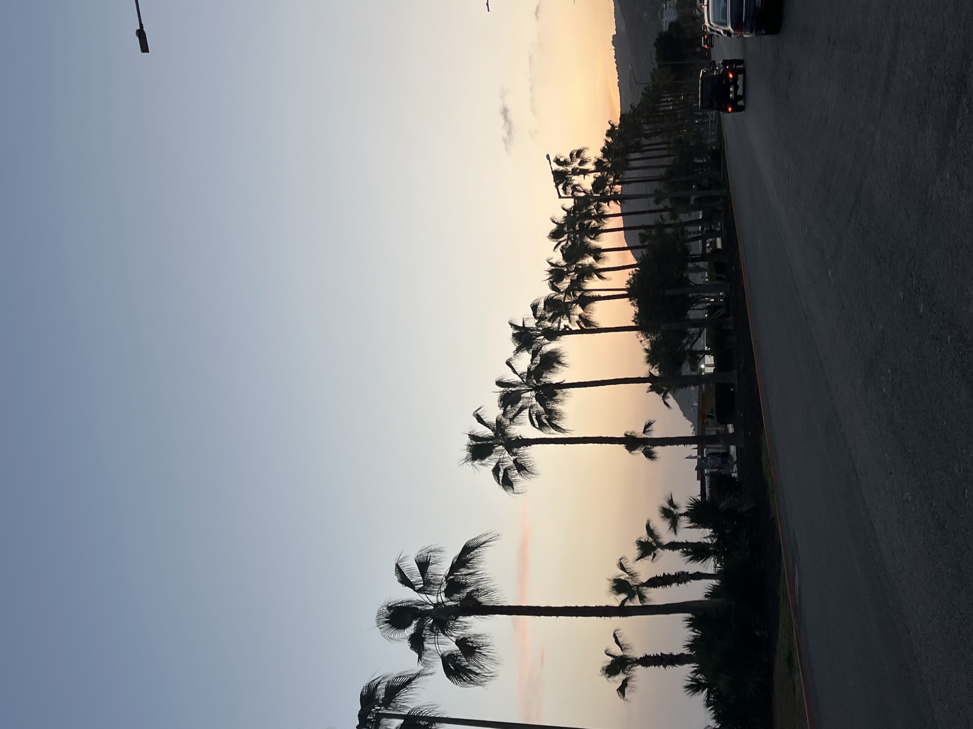 The image captures a street scene at dusk in Alanya, Turkey, lined with palm trees on one side. The sky transitions from light blue to a warm orange-yellow, indicating either sunset or sunrise. Silhouetted against the sky are a row of palm trees. A road runs parallel to the palm trees, with vehicles visible, including a dark car. A mountain is visible in the background. A streetlamp is on the top left corner.