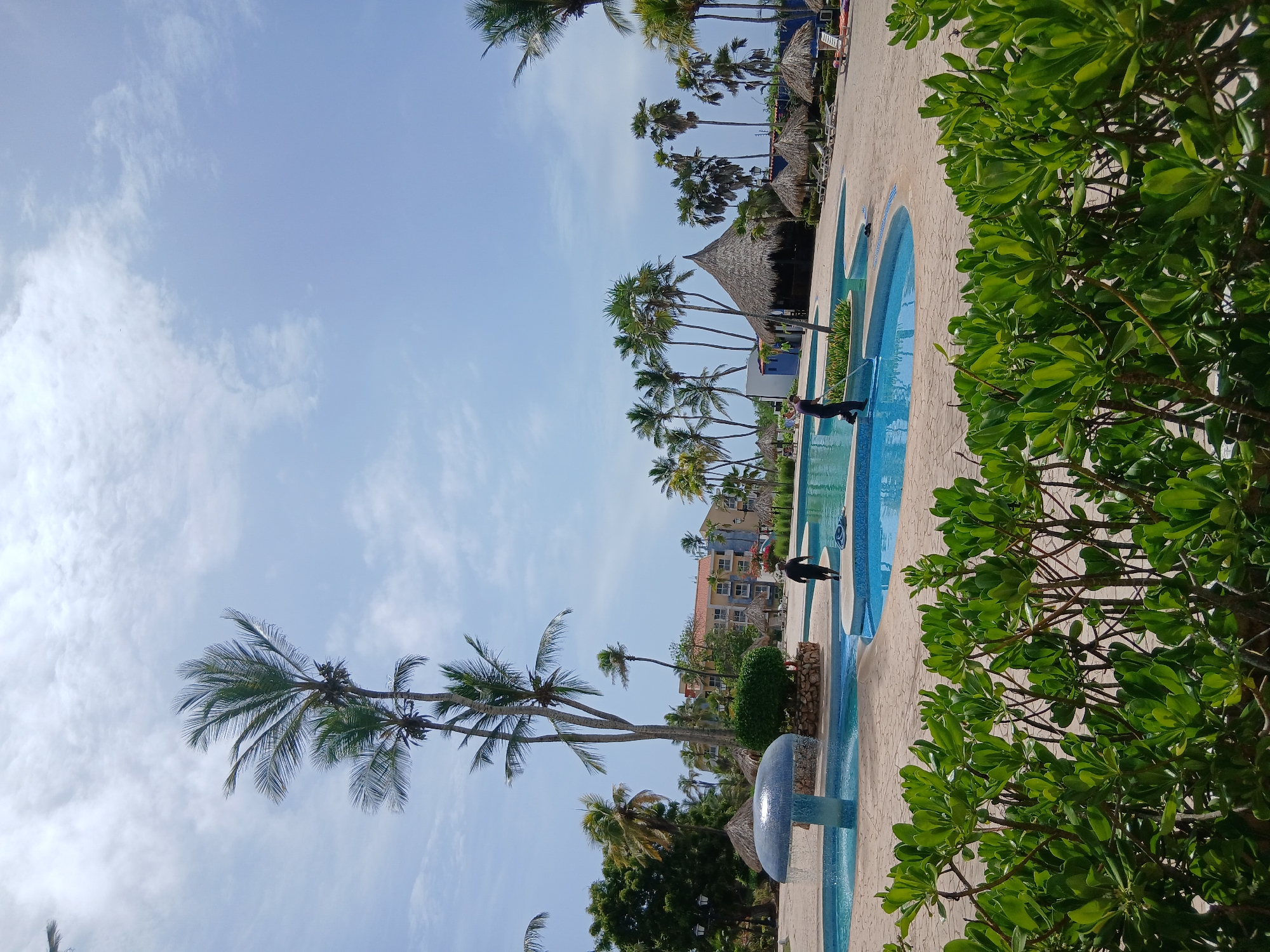 The image depicts a resort or hotel pool area on a sunny day, likely in Playa El Agua, Venezuela, given the presence of numerous palm trees and tropical vegetation. In the foreground, lush green bushes partially obscure the view. The midground features a swimming pool with clear blue water and a decorative fountain. Two individuals, dressed in dark clothing, are visible near the pool, appearing to be cleaning or maintaining the area. One person is using a long-handled tool in the pool, while the other stands nearby. Scattered around the pool are thatched-roof structures, lounge chairs, and more palm trees. In the background, several multi-story buildings, presumably part of the resort, are visible, along with more palm trees and a bright blue sky with scattered clouds. The overall scene suggests a resort setting designed for leisure and relaxation.