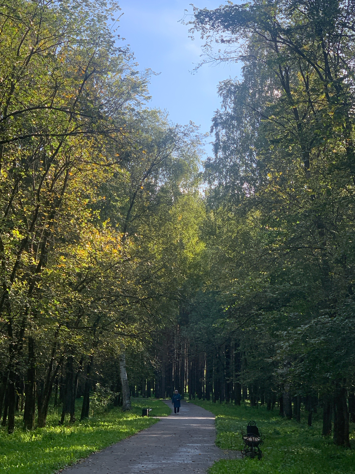 The image depicts a paved pathway through a park lined with tall, mature trees, suggesting an autumn setting with dappled sunlight filtering through the foliage. A solitary figure, dressed in a dark blue coat, is walking away from the camera along the path. The ground is covered in green grass, with some fallen leaves visible on the path. To the right of the path, a dark, ornate bench or decorative element is situated. The sky is visible through a gap in the trees, appearing bright blue with some wispy clouds. The overall impression is one of a peaceful, natural setting within an urban environment. Based on the context provided, this park is located in the city of Prokopyevsk, Russia.