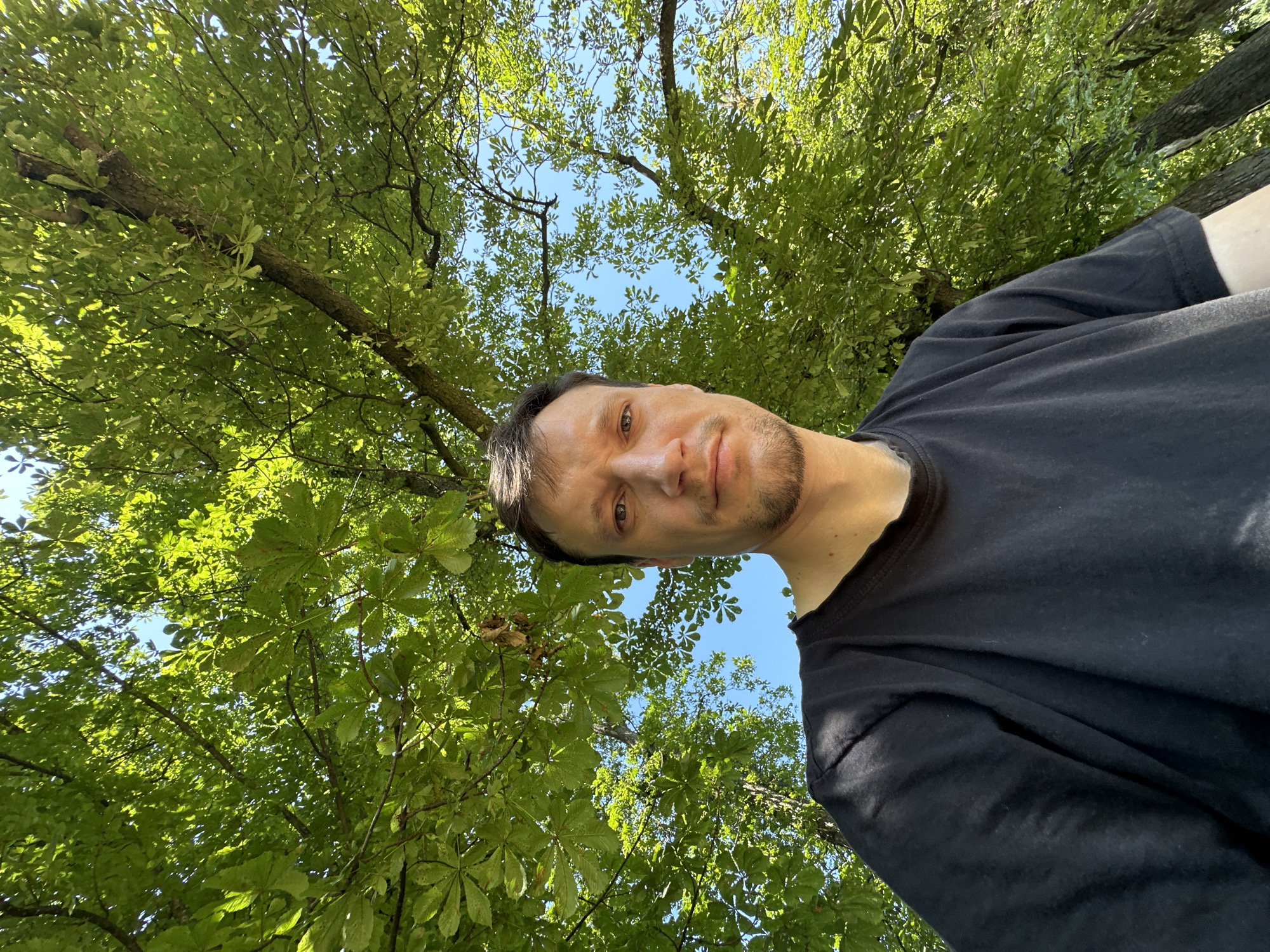 A selfie taken from a low angle shows a man with short brown hair and a light beard looking at the camera. He is wearing a black t-shirt. Behind him, the bright green leaves of a large tree canopy fill the upper portion of the frame, with patches of blue sky visible through the foliage. The image appears to have been taken outdoors, possibly in a park or a wooded area within the city of Makiv, Ukraine, given the context provided.