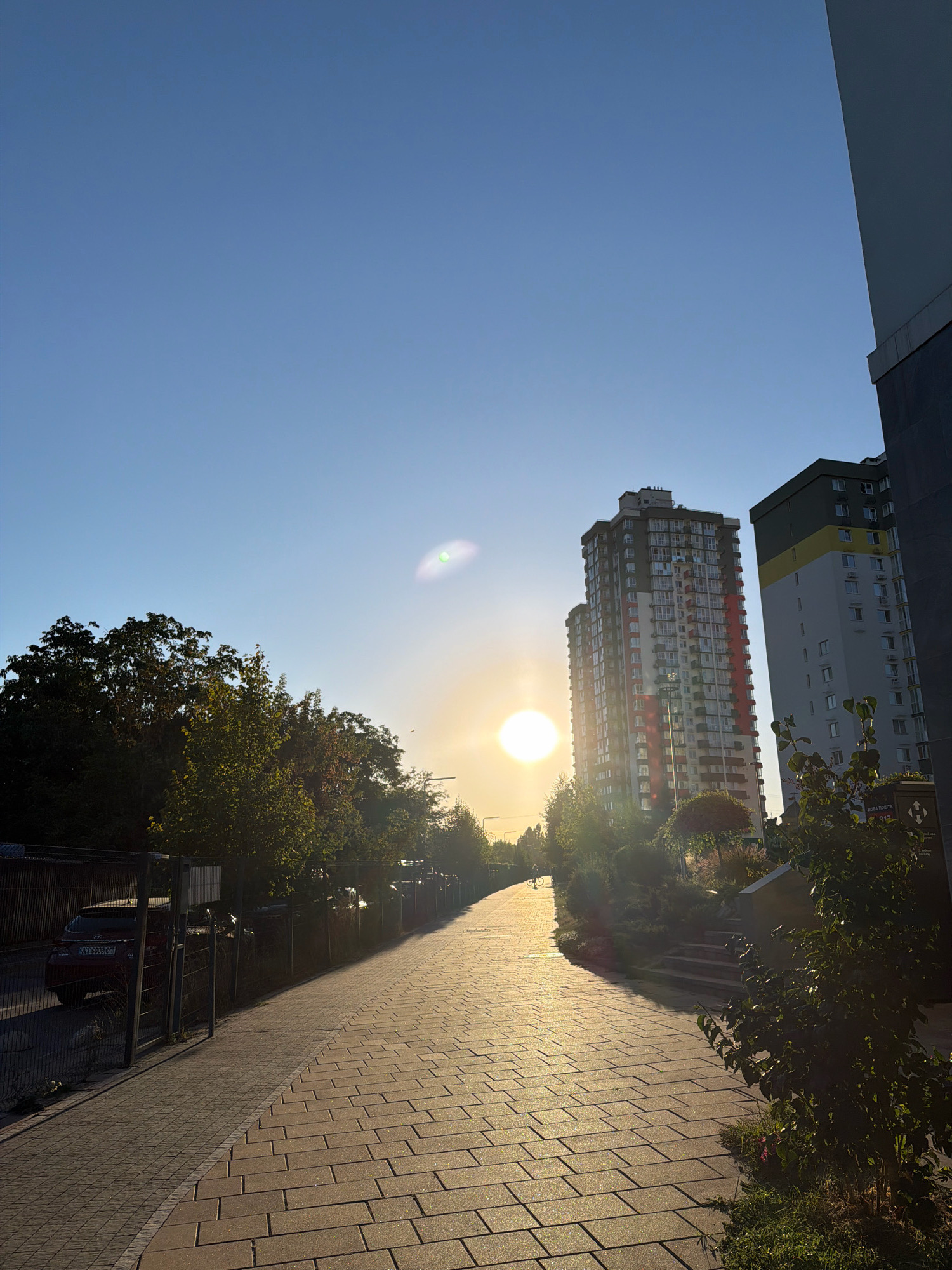 The image captures a street scene in Kyiv, Ukraine, bathed in the warm, low-angle light of the setting sun. The perspective is from a paved pedestrian walkway, composed of rectangular stones with a subtle sheen reflecting the sunlight. To the left, a metal fence encloses parked cars, one of which is a red SUV with a visible license plate. Beyond the fence, a line of trees with dense green foliage runs along the street.
Dominating the right side of the frame are two modern high-rise apartment buildings. The one closer to the foreground is a multi-story structure with balconies and a predominantly red and grey facade. The building further back features a distinctive color block design with yellow and grey sections at the top.
The sky is a clear, pale blue, with the sun appearing as a bright, slightly diffused orb casting long shadows across the walkway and illuminating the trees. A subtle lens flare is visible in the sky. A single person is faintly visible in the distance, walking along the path, and a bicycle is parked further down. Lush greenery, including shrubs and small trees, lines the walkway and the base of the apartment buildings, adding a touch of nature to the urban environment. A street light is also visible near the taller apartment building. The overall impression is one of a peaceful late afternoon in a residential area of Kyiv.