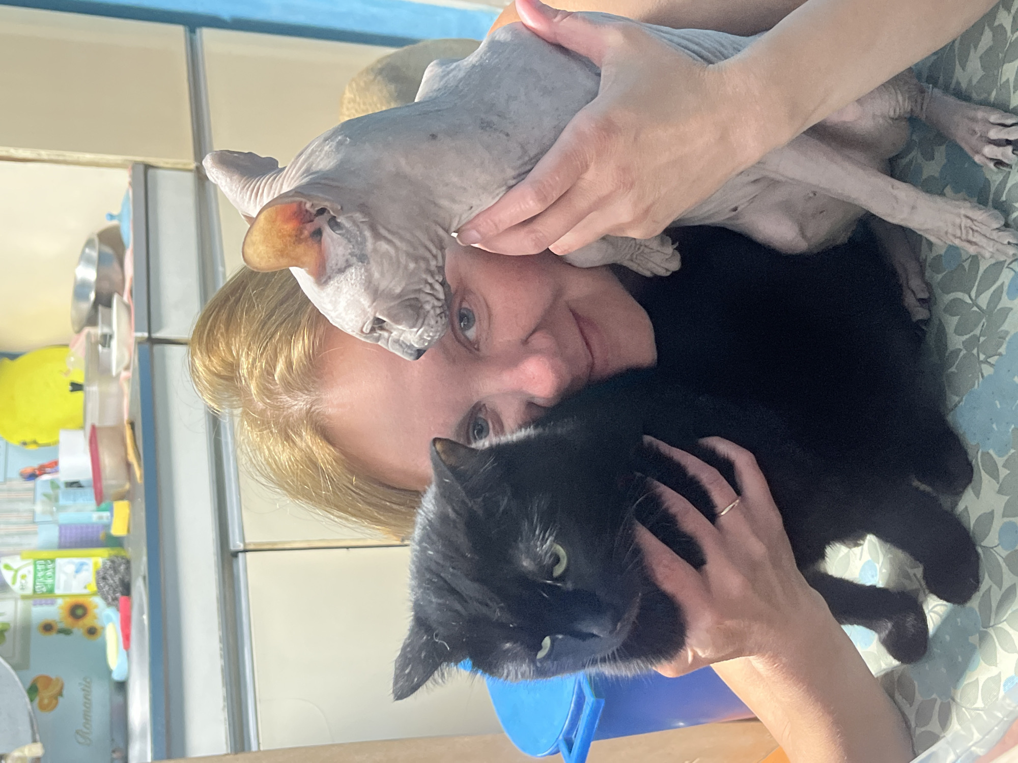 This image captures a blonde woman in a home setting, affectionately holding two cats. The scene is brightly lit, suggesting daytime. The woman, wearing a dark top and a thin ring on her right ring finger, looks towards the camera with a soft, friendly expression.
She is embracing a gray, wrinkled Sphynx cat, whose head is nestled near her right cheek. Her hands are gently wrapped around the hairless cat, which appears calm and content. Below this, she also holds a black short-haired cat with vibrant green eyes, positioned near her left shoulder and looking towards the viewer. The black cat also seems comfortable and relaxed.
The background suggests a domestic environment, possibly a kitchen or living area. A table or surface covered with a blue and white floral patterned cloth is visible underneath the cats and the woman's arms. To the left, various household items are stacked or arranged, including metallic bowls, a yellow object, and containers. A blue item with illustrations of sunflowers and oranges has the word "Romantic" visible on it. On the right, a large, light-colored surface, possibly a cabinet or refrigerator, can be seen. The overall atmosphere conveyed is one of warmth and affection between the woman and her pets.