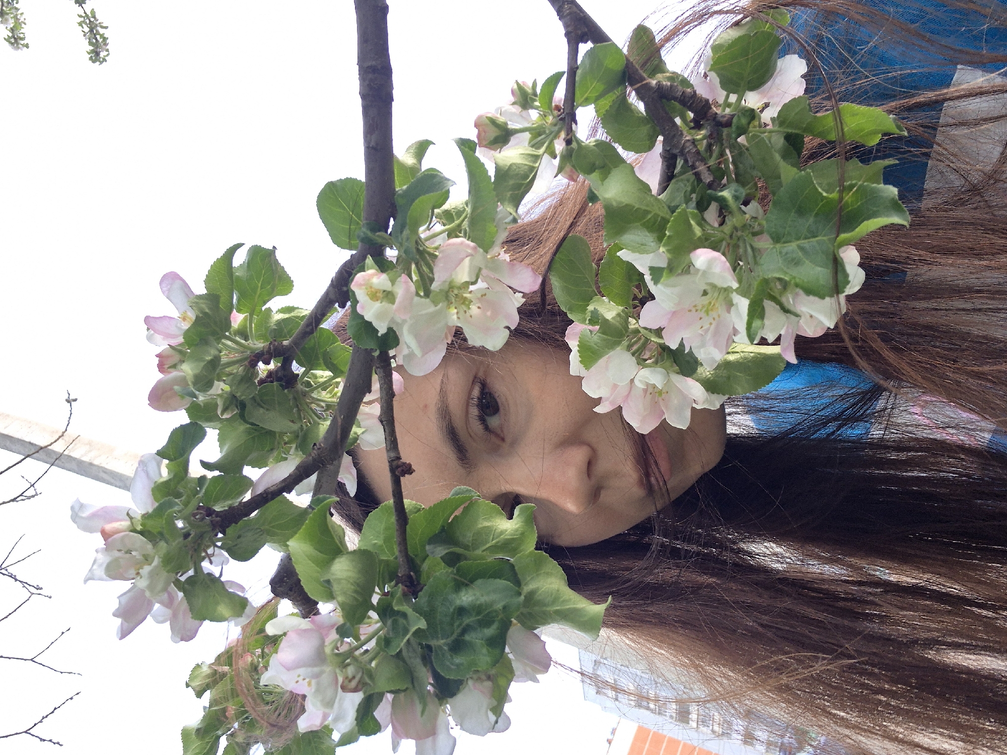 A close-up, tilted, low-angle shot shows a person with light skin and brown hair, partially obscured by branches with white and light pink flowers and green leaves. The person’s face is angled down, revealing one eye, part of the nose, and a portion of their mouth. Their brown hair is long and spread out around their face. The flower-laden branches extend from the upper left to the upper right of the frame, partially framing the person’s face. In the background, a blurred view of buildings is visible, suggesting an urban environment. The location is specified as Unknown, Unknown.