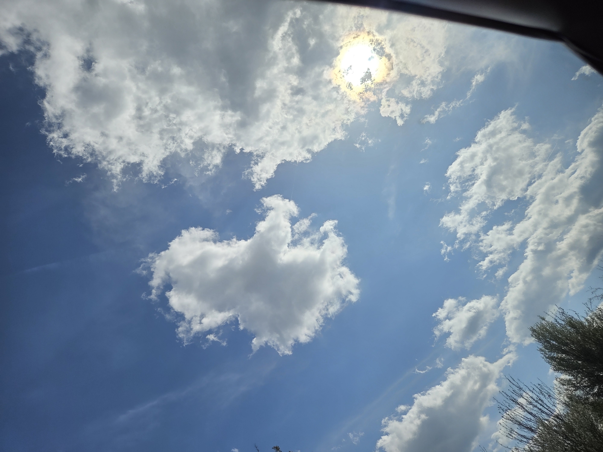 The image shows a view of the sky with white clouds and a bright sun. The sky is blue. The photograph was taken from a low angle, possibly from inside a vehicle. A section of what appears to be a vehicle frame is visible in the upper portion of the image. The location in the city of Koilovtsi, Bulgaria cannot be verified from the image content.