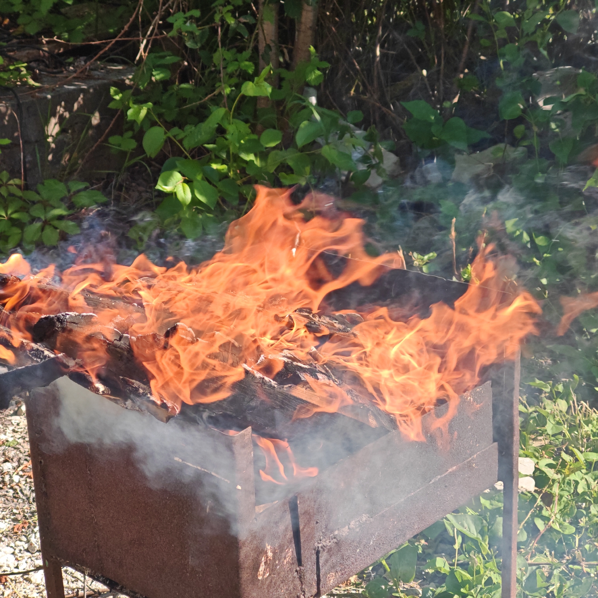 The image depicts a rusted metal barbecue grill filled with burning wood. Flames rise prominently from the grill, accompanied by billowing smoke. The grill is situated outdoors in a partially overgrown area. Green foliage is visible in the background.