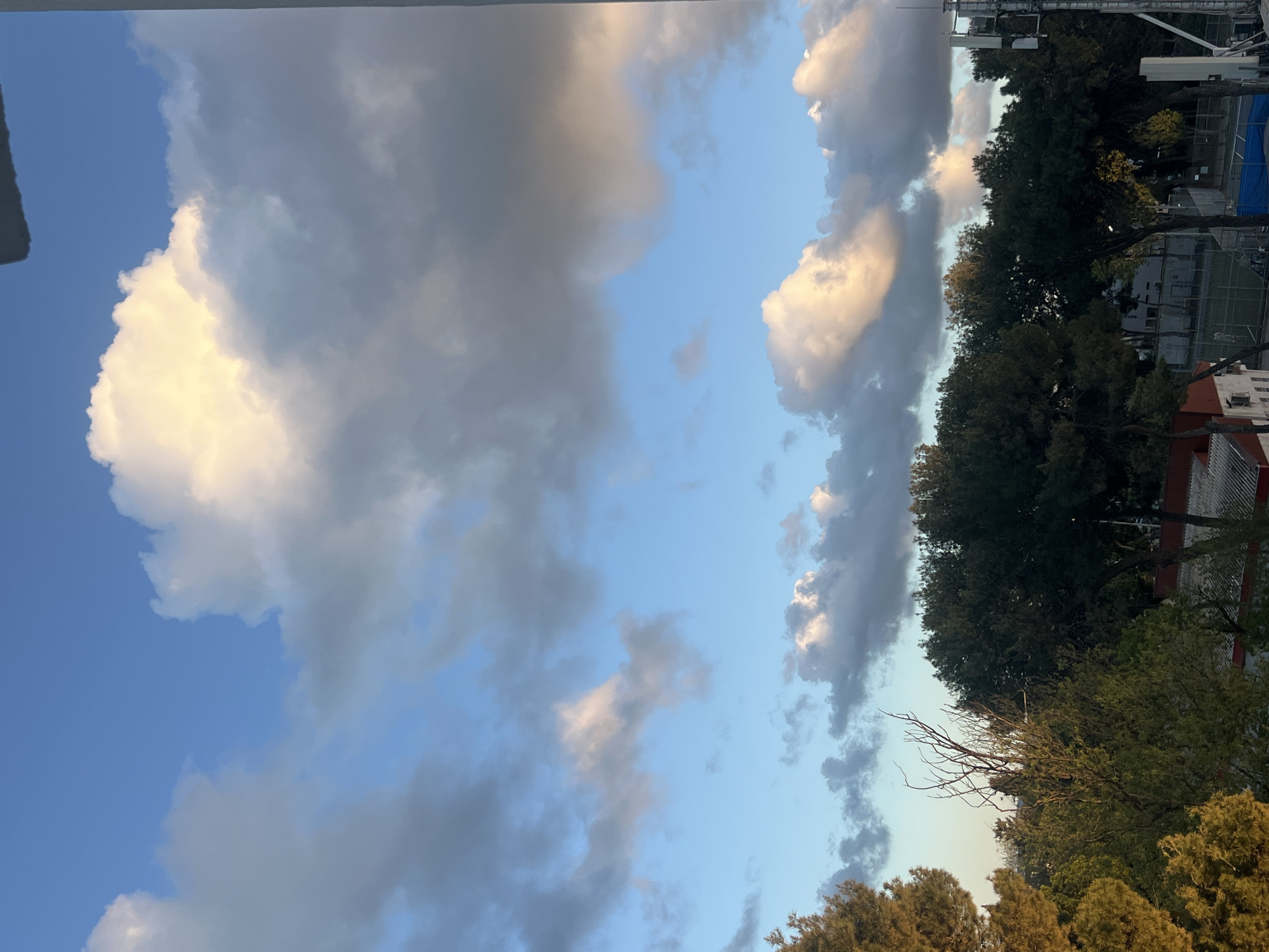 The image depicts a view of the sky over Kiryat Bialik, Israel. A large cumulus cloud is visible on the left side of the frame, contrasted against a blue sky. A line of trees defines the horizon on the right side of the image, and in the background, there is the visible skyline of the city itself. Infrastructure details such as a sports court and telecommunications masts are visible.