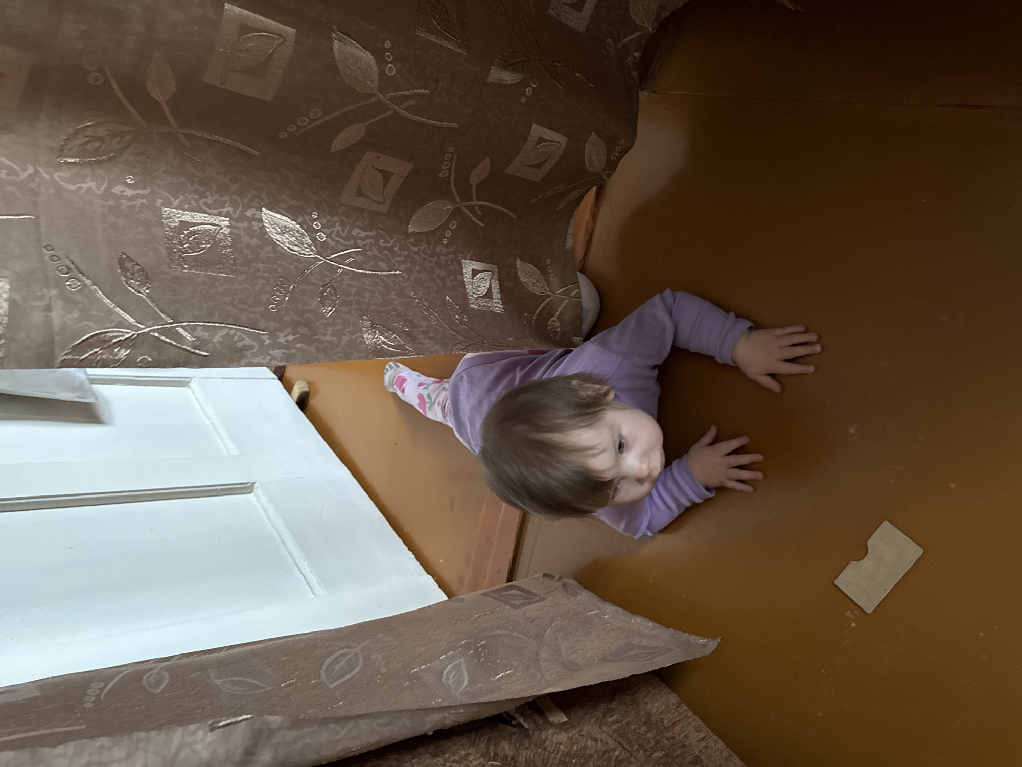 A toddler in a purple long-sleeve shirt and patterned leggings is crawling on a brown surface, presumably a floor, adjacent to a white paneled door. The toddler is facing right and looking upwards. A piece of cardboard lies on the brown surface near the toddler's outstretched hand. Overhanging the toddler and door is a patterned fabric. The location is unknown.