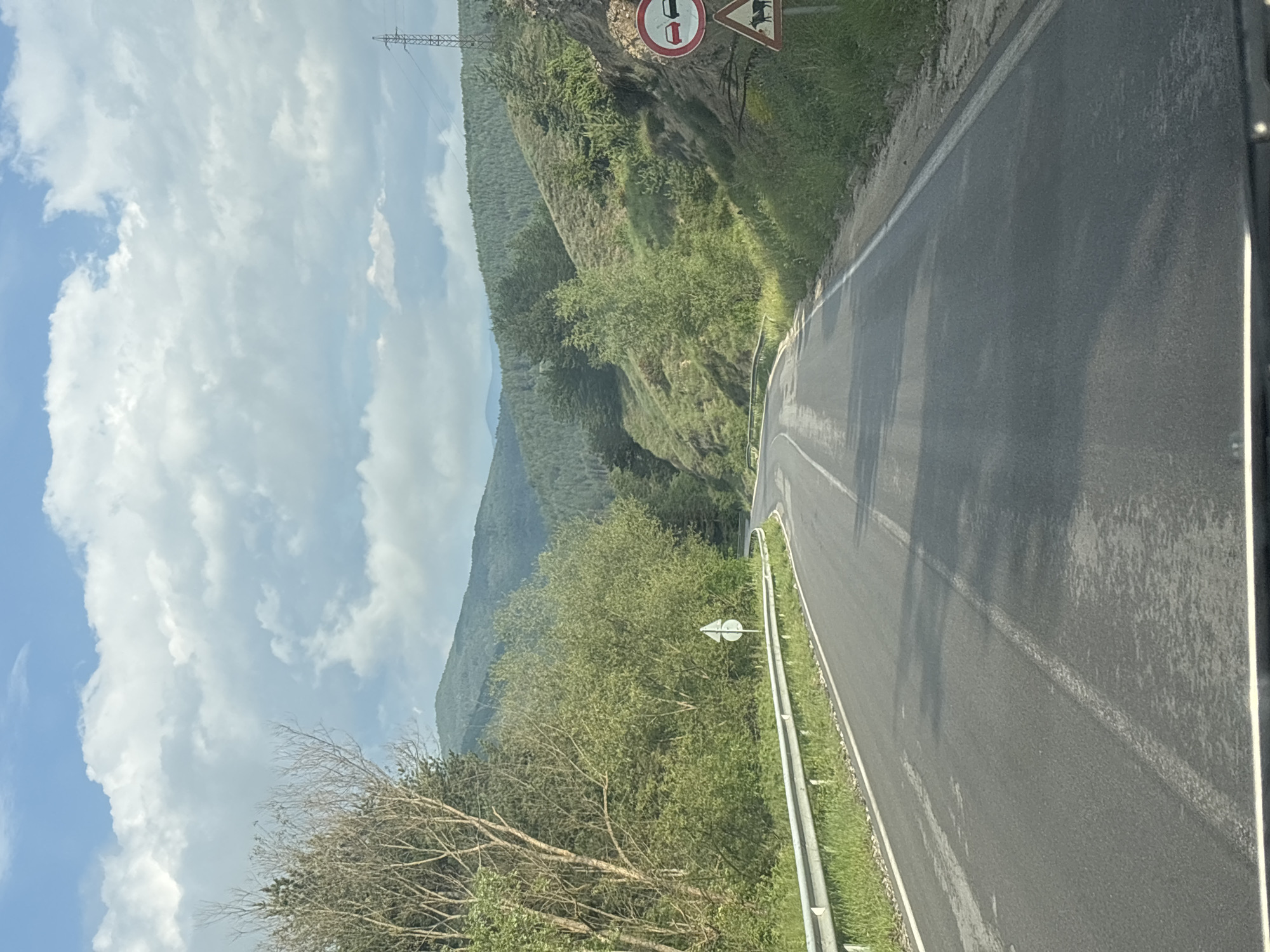 The image captures a scenic view from a vehicle traveling on a winding asphalt road through a mountainous landscape in Eleshnitsa, Bulgaria. The road, featuring a white solid line on its right edge and a broken white line as a center divider, curves gently to the right. A metal guardrail runs along the right side of the road, separating it from a steep, tree-covered embankment.
The surrounding terrain consists of verdant, forested mountainsides that rise sharply from the roadside and extend into the hazy distance. The sky above is bright blue with scattered white cumulus clouds, indicating daytime and fair weather. A power line tower is faintly visible against the sky on the upper left.
Notable details include two road signs positioned on the right embankment. The first is a circular white sign with a red border, depicting two cars, one black and one red, with the red car being overtaken and then crossed out by a red diagonal line, signifying "No Overtaking." Next to it is a square yellow sign with a black border, illustrating two stylized animals, likely cattle or horses, indicating a "Beware of Animals" or "Animal Crossing" warning. Further along the road on the left, a small white directional sign with an arrow is visible behind trees. The scene evokes a sense of peaceful travel through a natural, mountainous environment.