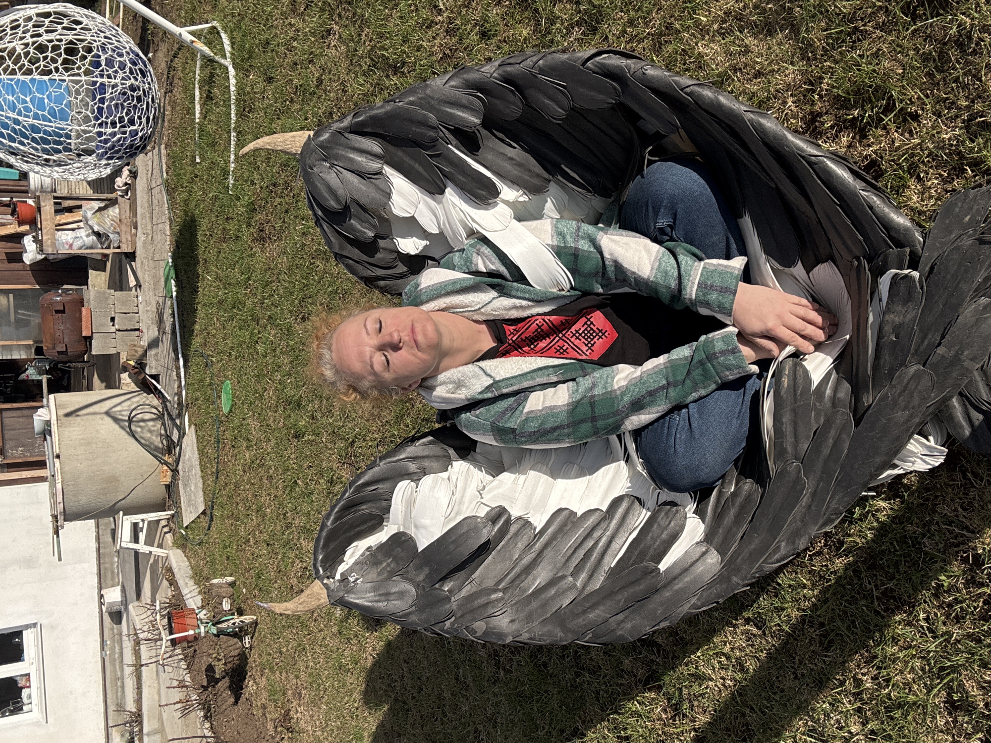 A woman with light, curly hair lies on her back on a patch of grass, her eyes closed, seemingly resting or posing. She is enveloped by a large pair of artificial wings, predominantly black with prominent white feathers visible underneath. She wears a green and white plaid jacket over a black t-shirt that features a distinct red, stylized folk pattern. Blue jeans are also visible. Her hands are clasped lightly over her stomach, resting on the wing feathers.
The scene is outdoors on a sunny day, indicated by bright light and clear, sharp shadows on the grass. The background reveals a somewhat cluttered backyard or rural area. To the left, a large white mesh sphere with blue material inside hangs from a pole, possibly a decorative item or a lamp. Below it, various items are stacked, including wooden pallets, plastic bags, a metal barrel, and concrete blocks. Further back, part of a white building with a window is visible, along with what appears to be a small, brown plant pot on a small white structure. The ground is covered in green grass with some sparse patches of bare earth. The overall impression is informal and rustic, consistent with a backyard in a location like Chaikovsky, Russia. No explicit text is readable, but the t-shirt design is a notable visual element.