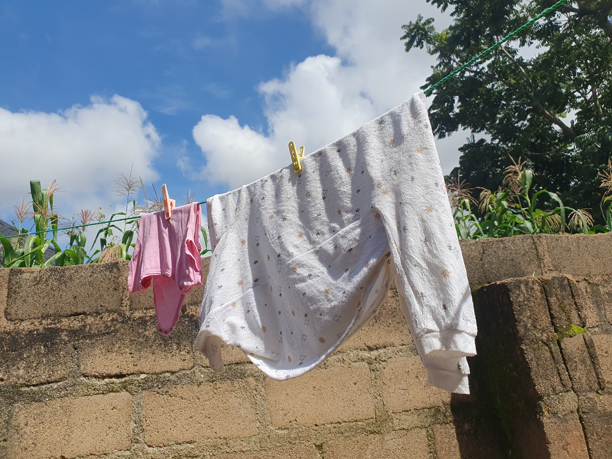 In Gura Top, Nigeria, on a sunny day, laundry hangs on a clothesline. A pink garment is clipped to the left, and a white garment with small star patterns is clipped to the right. The clothesline is strung in front of a textured, light-brown brick wall. Behind the wall, green corn stalks are visible, and further back, a large green tree stands against a bright blue sky with scattered white clouds. The scene captures a common domestic activity set against a rural Nigerian landscape.