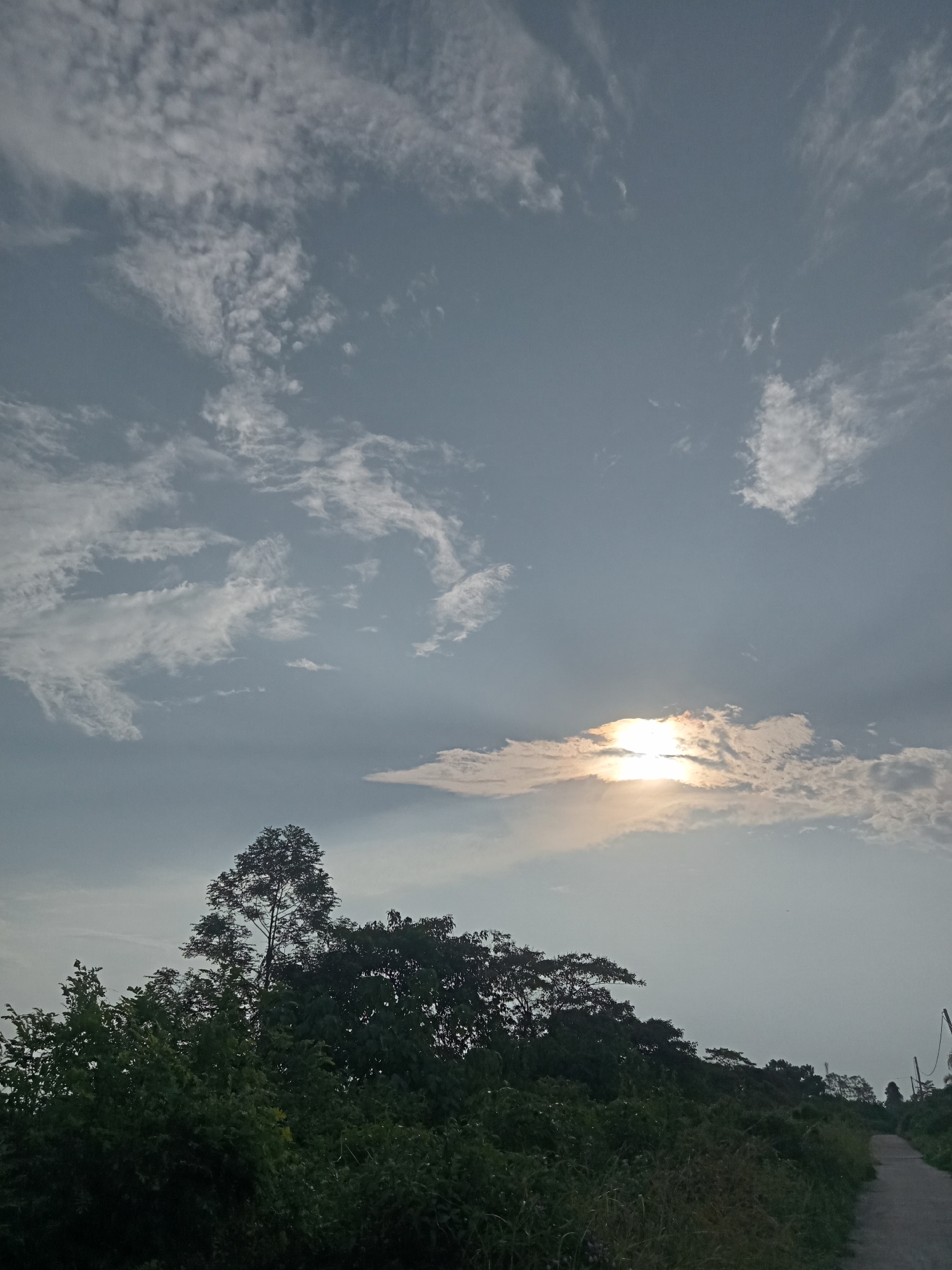 The image depicts a cloudy sky with the sun partially obscured by clouds, casting a soft glow. A line of trees, predominantly green and dense, forms the lower portion of the frame, with a tall, slender tree standing out amongst them. A narrow, unpaved road is visible to the right, leading into the distance. The scene suggests a rural or semi-rural setting, possibly on the outskirts of Teluk Kenidai, Indonesia, given the vegetation and open sky characteristic of such areas. There are no people or animals visible in the image. The overall impression is one of a natural landscape under a dynamic sky.