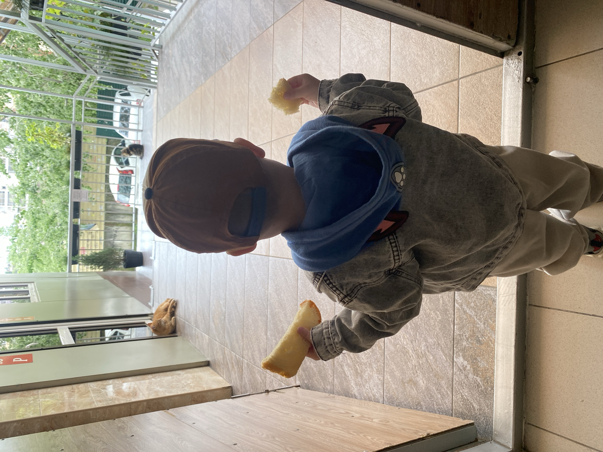 A child stands on a tiled porch, facing away from the viewer, wearing a brown baseball cap, blue hooded sweatshirt, and a gray denim jacket. They hold a piece of yellow food in each hand. An orange cat lies near a glass door. Outside, a metal railing borders a walkway with potted plants. Beyond the walkway, cars are visible, along with trees and buildings. The location is likely Sochi, Russia.