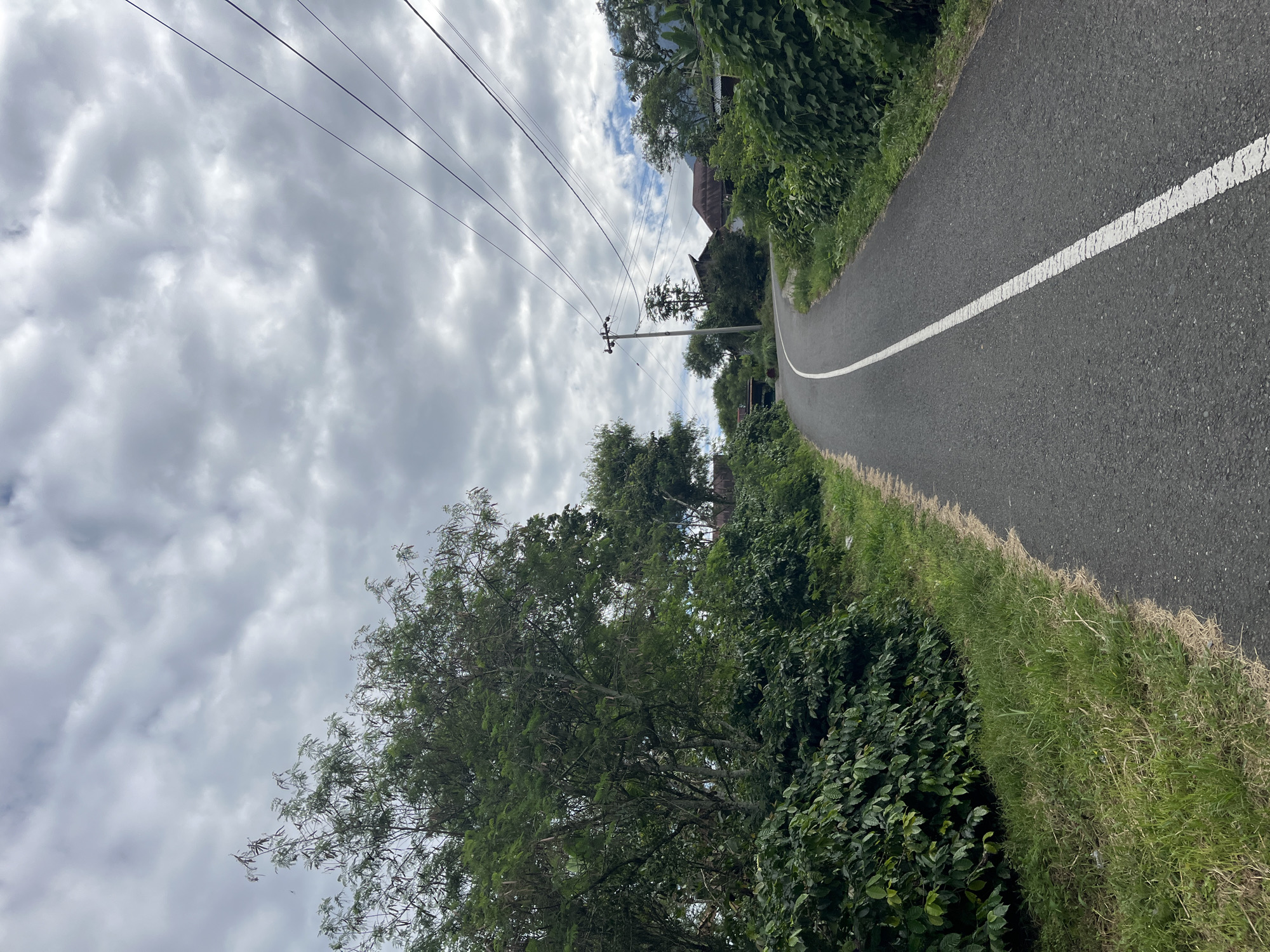 The image depicts a narrow, asphalt road curving through a rural landscape. Lush green vegetation lines both sides of the road, with dense bushes and trees. In the distance, several houses with traditional roofs are visible amongst the trees. Utility poles with wires stretch across the sky, which is filled with a mix of white and grey clouds. The road has a single white line down the center. The scene appears to be a quiet, scenic path in a village setting.