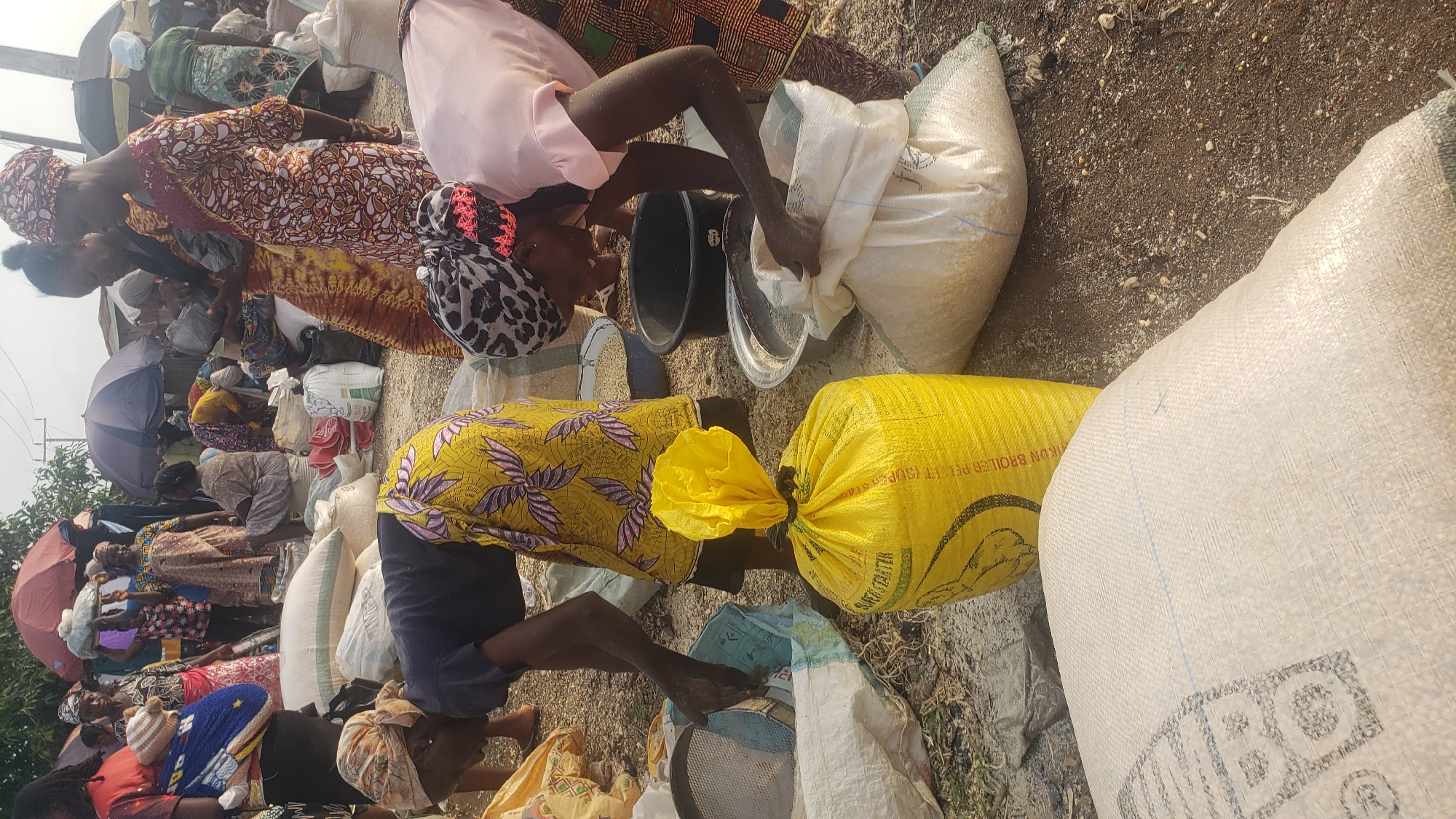 In Kakuri Gwari, Nigeria, a bustling market scene unfolds as individuals engage in the handling of grain sacks. The ground is littered with discarded material, and several large sacks, primarily yellow and white, are prominently featured. Two women are actively working with the sacks. One woman, wearing a yellow and purple patterned wrapper, is bent over, sifting material with a sieve. Another woman, in a pink top and patterned wrapper, is holding open a white sack as a third woman, also in a patterned wrapper, appears to be pouring contents into it from a large metal basin. In the background, other market-goers and their wares are visible, with some individuals holding umbrellas for shade. The lighting suggests it is daytime.