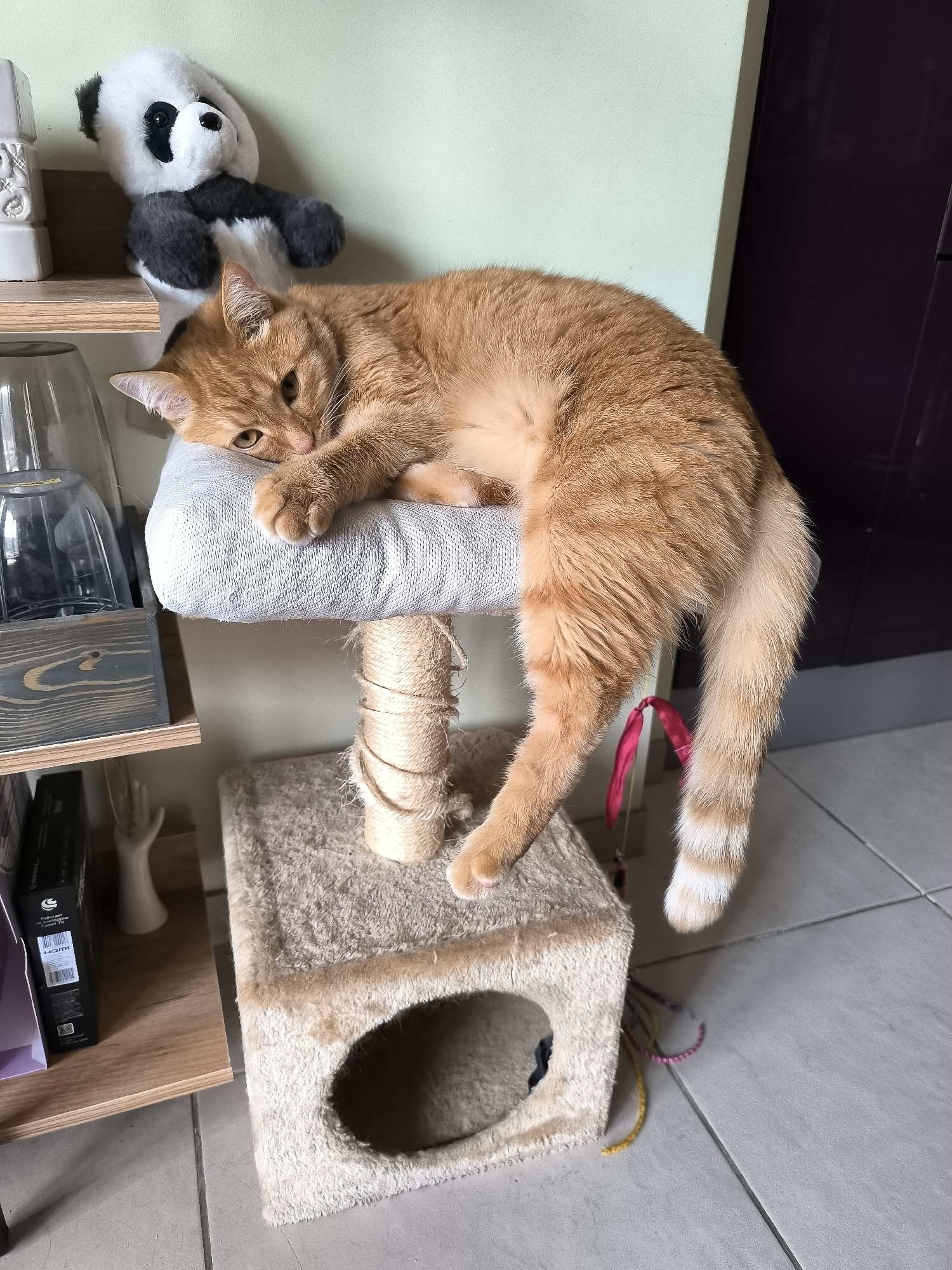 An orange tabby cat is lying on its side on a cat tree perch, with its head resting on its paws. The cat is facing left, with its eyes open and looking towards the camera. Its body is relaxed, and its tail hangs down the side of the perch. Behind the cat, on a shelf, is a stuffed panda toy. The cat tree itself is made of carpet and rope, with a small enclosed space at the bottom. The scene appears to be indoors, likely in a home, given the presence of a cat tree and stuffed toy. There is no indication of the location being in Dolgoprudny, Russia, or any other specific city. The image captures a moment of rest for the feline.
