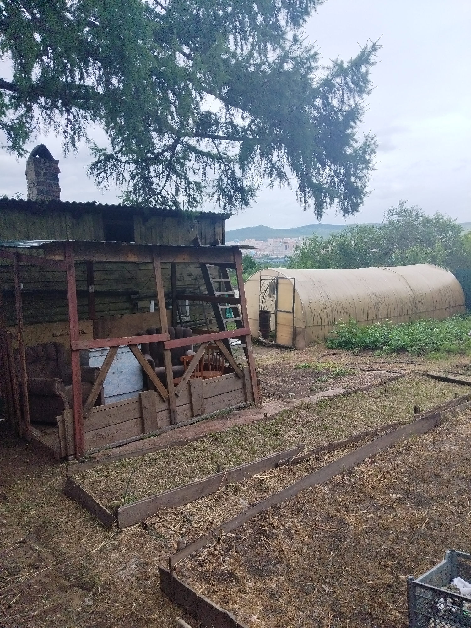 The image depicts a backyard scene in Chita, Russia, likely in a suburban or rural area given the presence of a greenhouse and garden beds. In the foreground, there are raised garden beds, some with dry soil and organic matter. To the left, a wooden structure with a corrugated metal roof serves as an open-sided shelter, housing what appears to be discarded furniture, including a sofa and a chest. A ladder is propped against the structure. Further back, a large, tunnel-shaped greenhouse made of translucent material is visible, surrounded by greenery. The background shows a wooded area and a distant urban landscape with buildings and hills under an overcast sky. The overall impression is one of a functional, though somewhat unkempt, outdoor space.