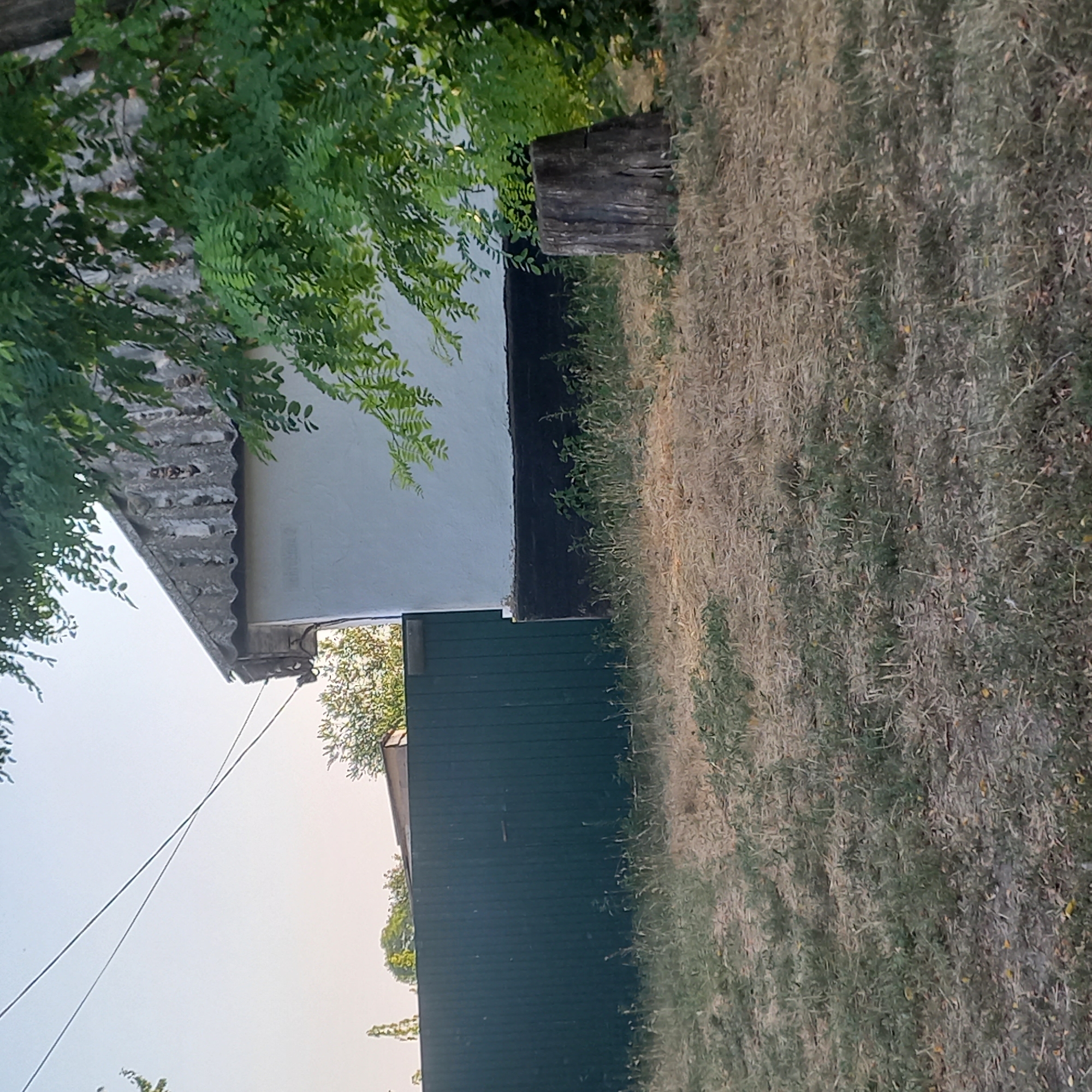 The image shows a property with a dark green metal fence in the foreground. Behind the fence, a white building with a weathered, corrugated roof is partially visible. A tree with green foliage is growing to the right of the building, casting shadows. A tree stump is visible in front of the building and to the right of the fence. The ground is covered in dry, yellowed grass with some patches of green weeds. The sky is clear and light blue, suggesting daytime. The scene appears to be a residential or semi-rural area, potentially in the city of Klyntsi, Ukraine.