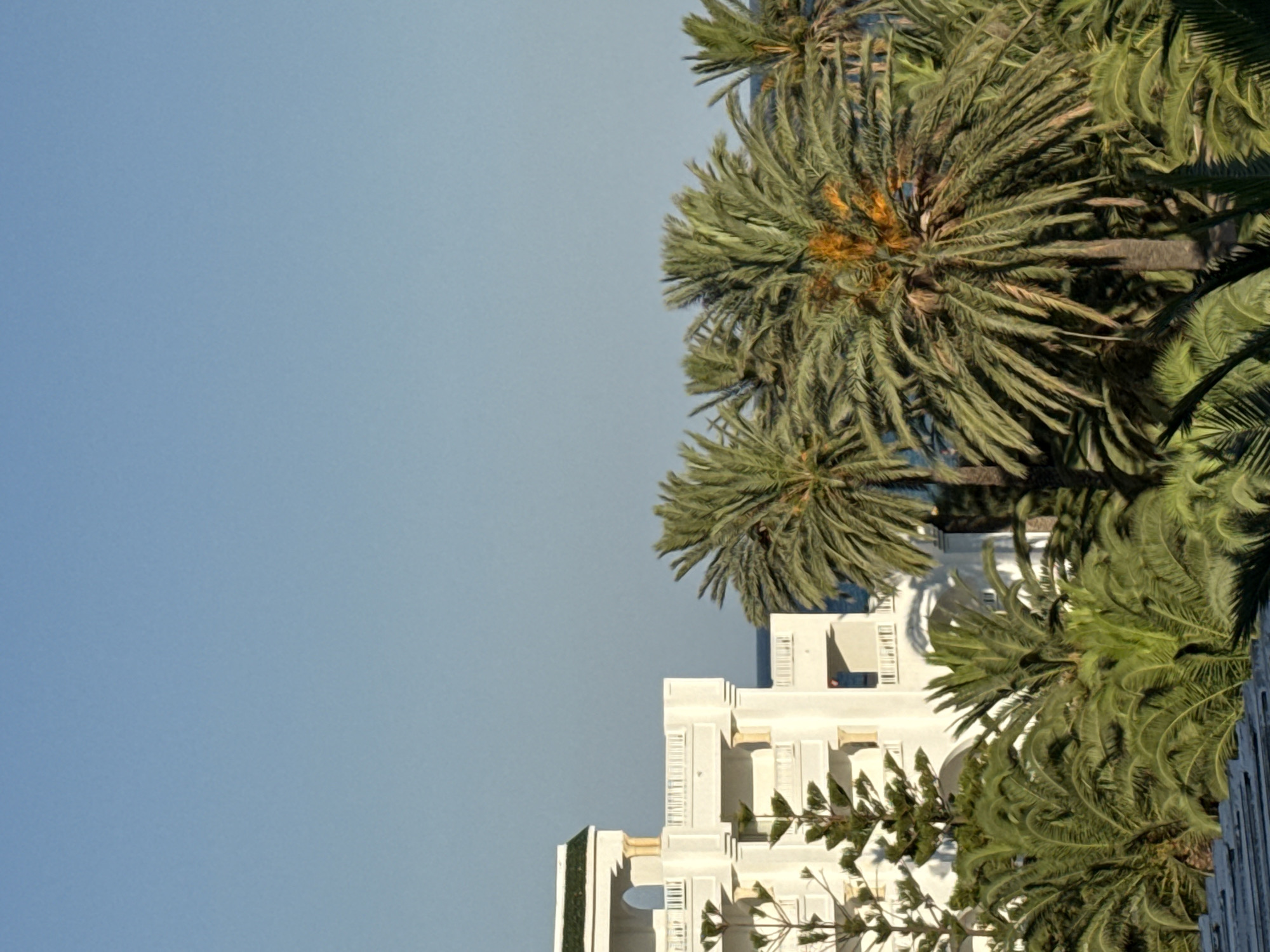The image shows a view of a white multi-story building with a green roof, balconies, and arched windows, situated in Yasmine Hammamet, Tunisia. The building is surrounded by lush green palm trees and some coniferous trees. The sky is clear and blue. In the background, a glimpse of the sea can be seen between the palm trees and the building. The lighting suggests it is daytime, likely morning or afternoon, with sunlight illuminating the scene. There are no people visible in the image. The overall scene depicts a tropical or Mediterranean resort setting.