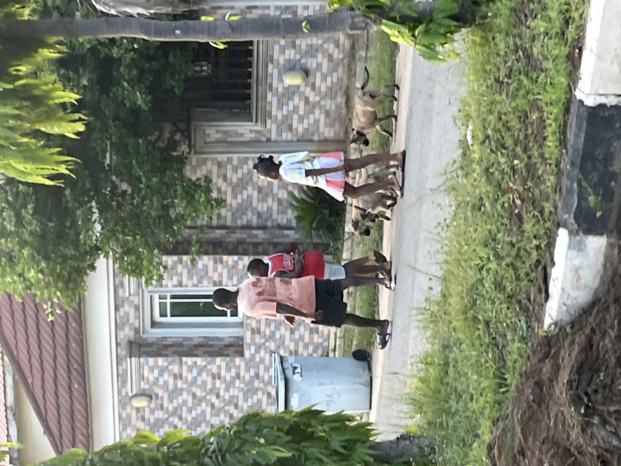The image depicts three individuals walking on a paved sidewalk in front of a building with a brown-tiled roof and a patterned brick facade. The location is identified as Abuja, Nigeria. A group of four brown dogs surrounds the female individual. Two male individuals walk in the opposite direction. A gray trash receptacle is located next to the sidewalk. Vegetation and trees are present in the foreground.