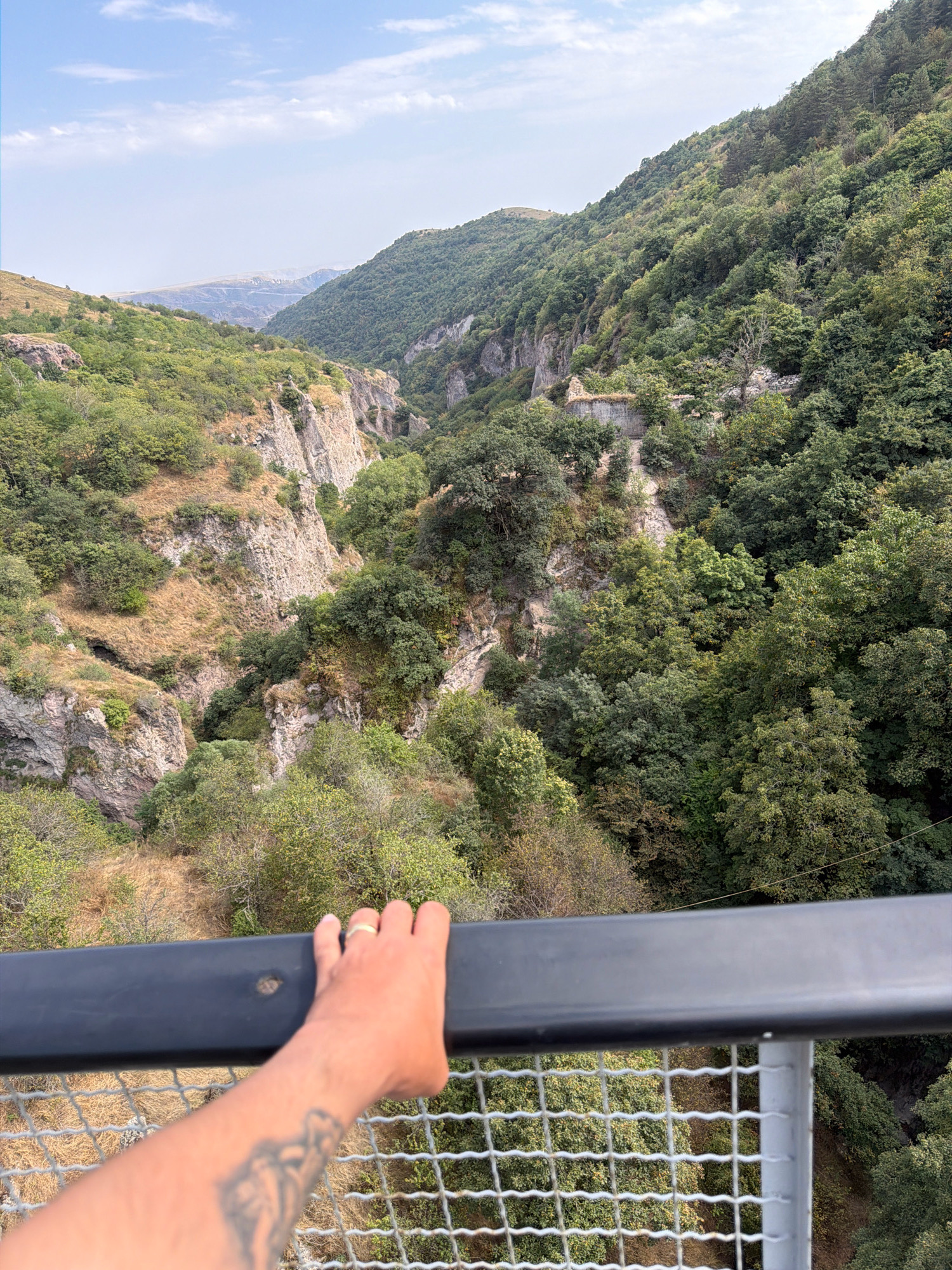 A person's right arm and hand are in the foreground, gripping a black railing. The hand wears a ring and has a tattoo visible on the forearm. Below the railing, a metal fence is visible. Beyond the railing and fence, a lush green canyon is depicted, with steep, rocky cliffs and dense trees. In the distance, a hazy mountain range can be seen under a partly cloudy sky. The scene is an outdoor view of the Khndzoresk Cave Dwellings in Khndzoresk, Armenia, a historical and natural landmark.