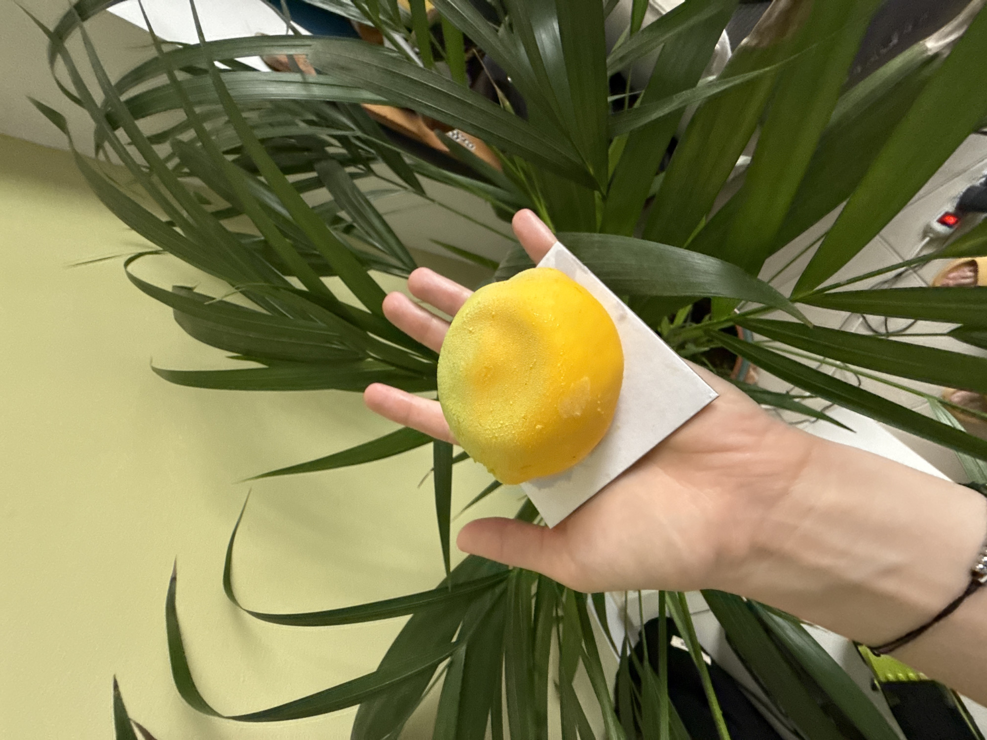 A hand holds a yellow, possibly mango-flavored mochi on a square of white paper. The background features a green leafy plant. The image was likely taken indoors based on the lighting and background elements. Without additional information, the specific location in Ramat Gan cannot be identified.