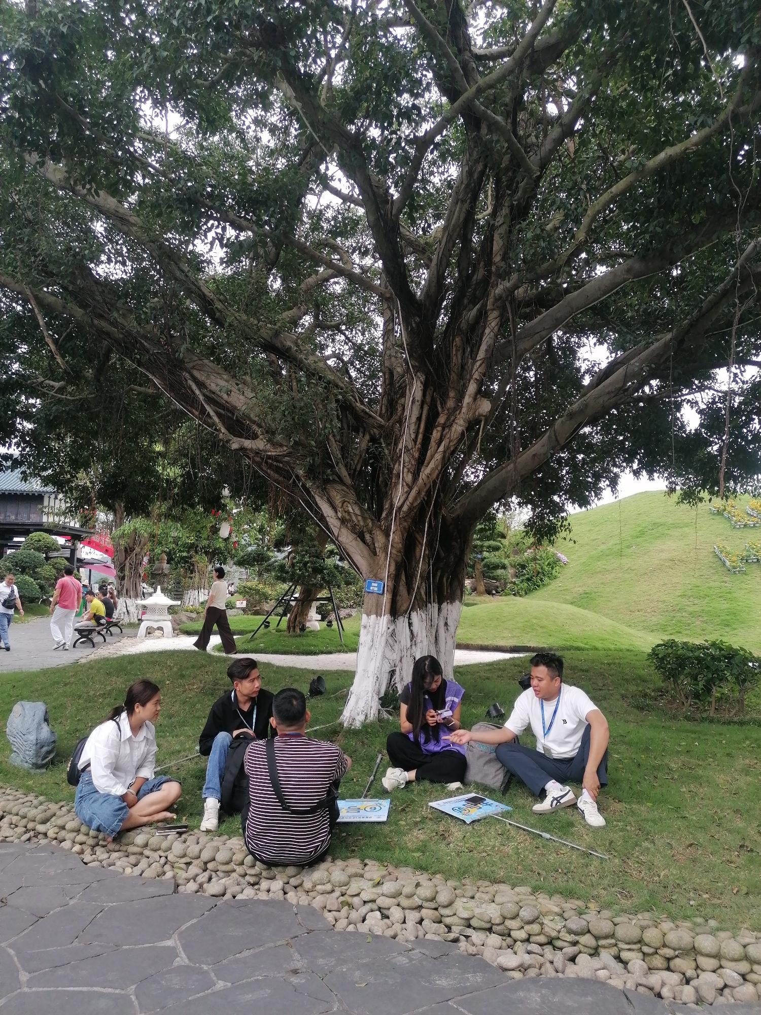 In Hong Gai Ward, Vietnam, a group of five individuals is seated on the grass beneath a large tree. One man, wearing a white t-shirt, appears to be talking or lecturing, gesturing with his right hand. Another woman is looking at her phone. Three people sit with their backs to the camera and looking at the speaker. Leaflets are spread out on the grass. The base of the tree has white paint. A path and a grassy hill are in the background.
