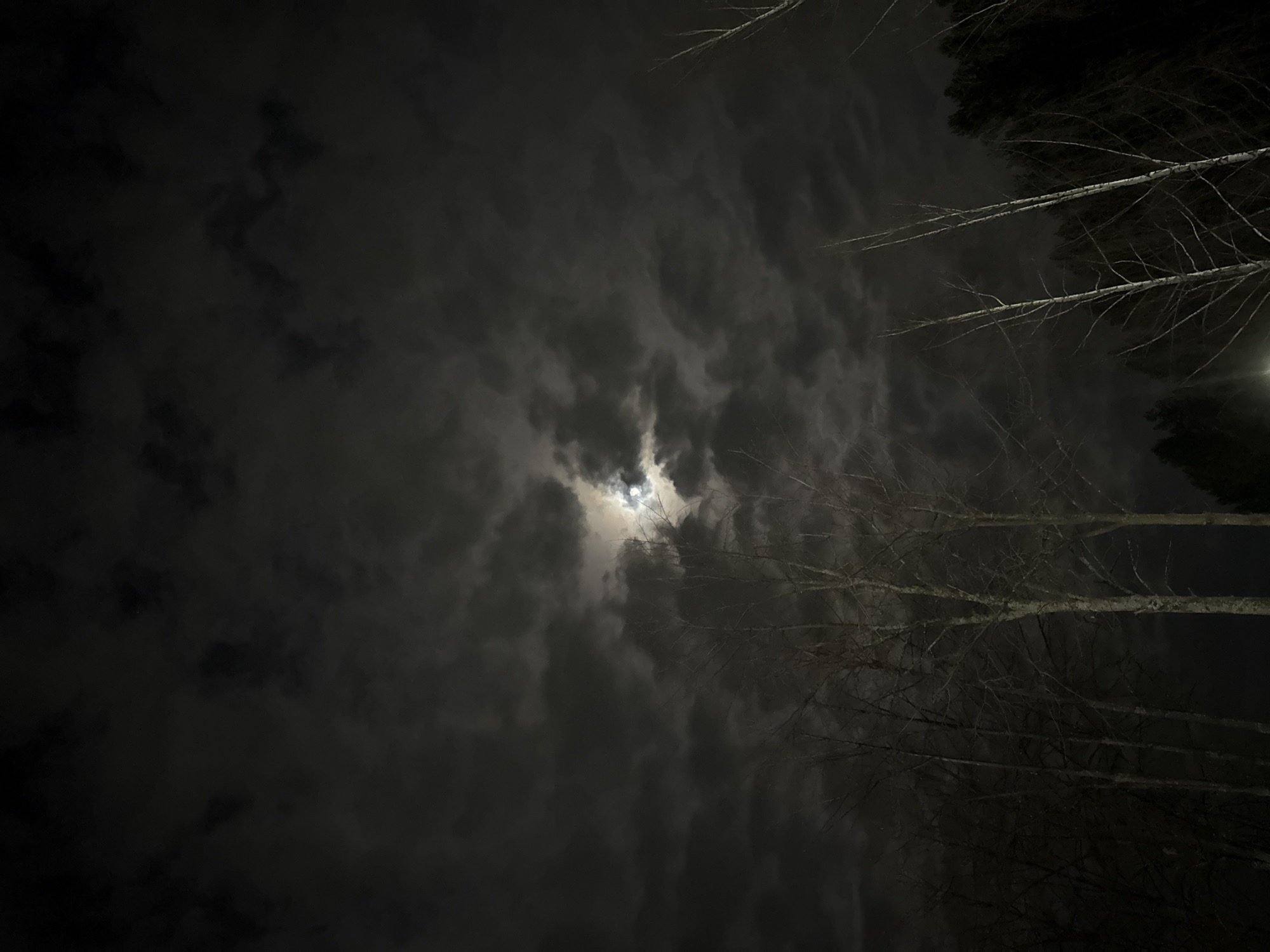 The image captures a night scene, likely in Chaikovsky, Russia, though this cannot be definitively confirmed without more information. The sky is predominantly filled with dark, ominous clouds, partially obscuring a bright moon. In the lower right quadrant, bare tree branches are visible, reaching upwards towards the sky. The overall environment appears dark and possibly urban, suggested by the potential presence of street lighting near the treetops. The scene appears quiet and devoid of human activity.