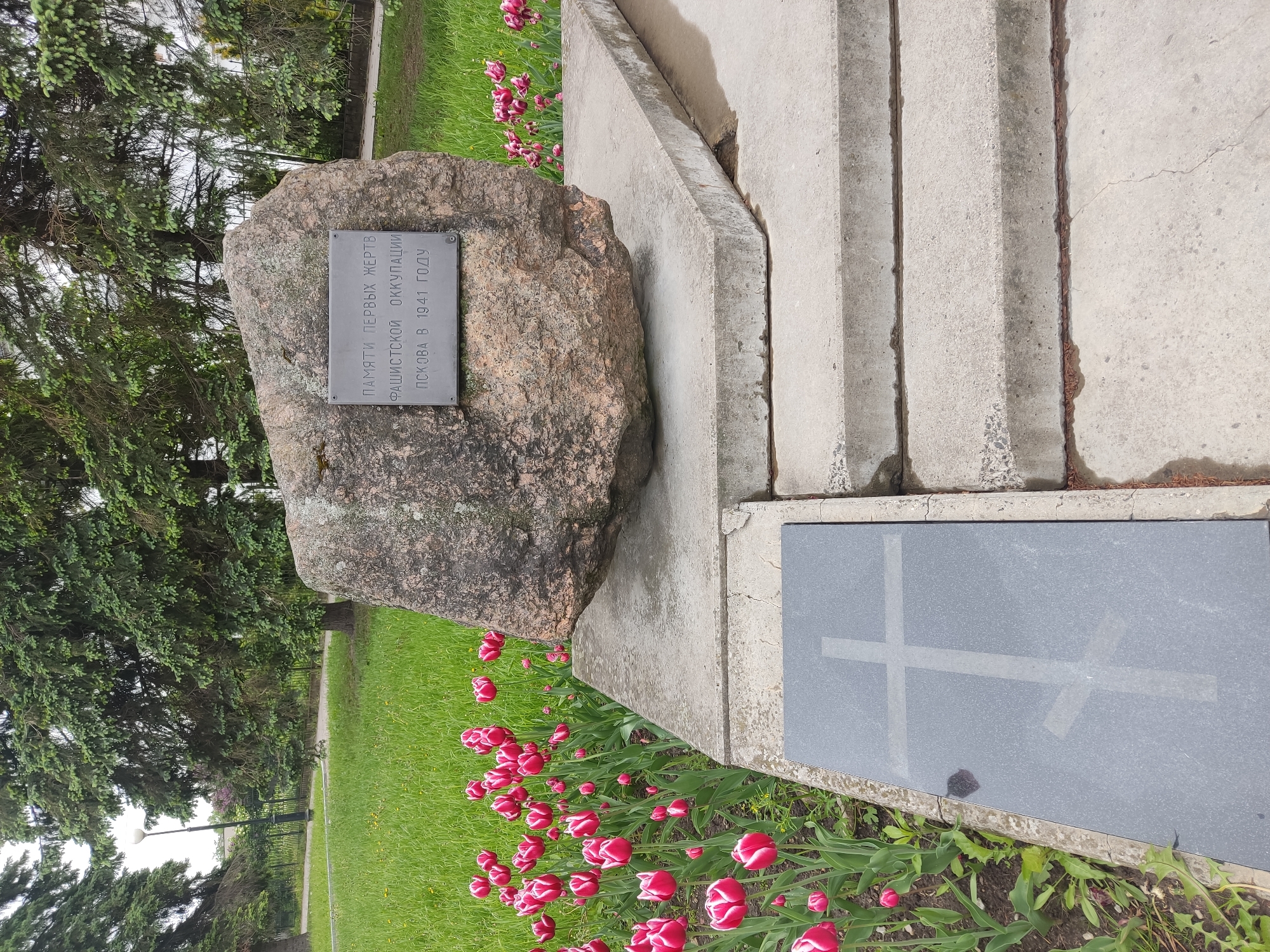 A memorial stands in Pskov, Russia. A gray stone is embedded with a metal plaque inscribed with the text "Памяти первых жертв фашистской оккупации Пскова в 1941 году" (In Memory of the first victims of the Fascist occupation of Pskov in 1941). Adjacent to the stone are concrete steps and a dark gray stone slab adorned with an etched cross. Red and white tulips grow around the base of the memorial, set in a green lawn. A large evergreen tree is visible in the background.