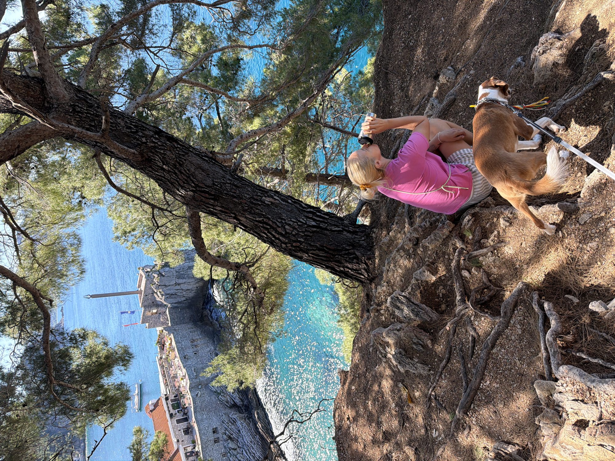 From an elevated vantage point amidst rugged terrain, a scene unfolds overlooking the coastal cityscape of Petrovac centar, Montenegro. A tree trunk bisects the frame, partially obscuring the turquoise sea and the ancient stone architecture. A blonde woman, seated on the steep hillside, holds a silver cylindrical object to her lips, possibly drinking. A brown and white dog with a leash stands beside her on the uneven ground. The environment consists of exposed tree roots, loose soil, and sparse vegetation. Flags flutter from a stone structure adjacent to the water, highlighting the coastal location.