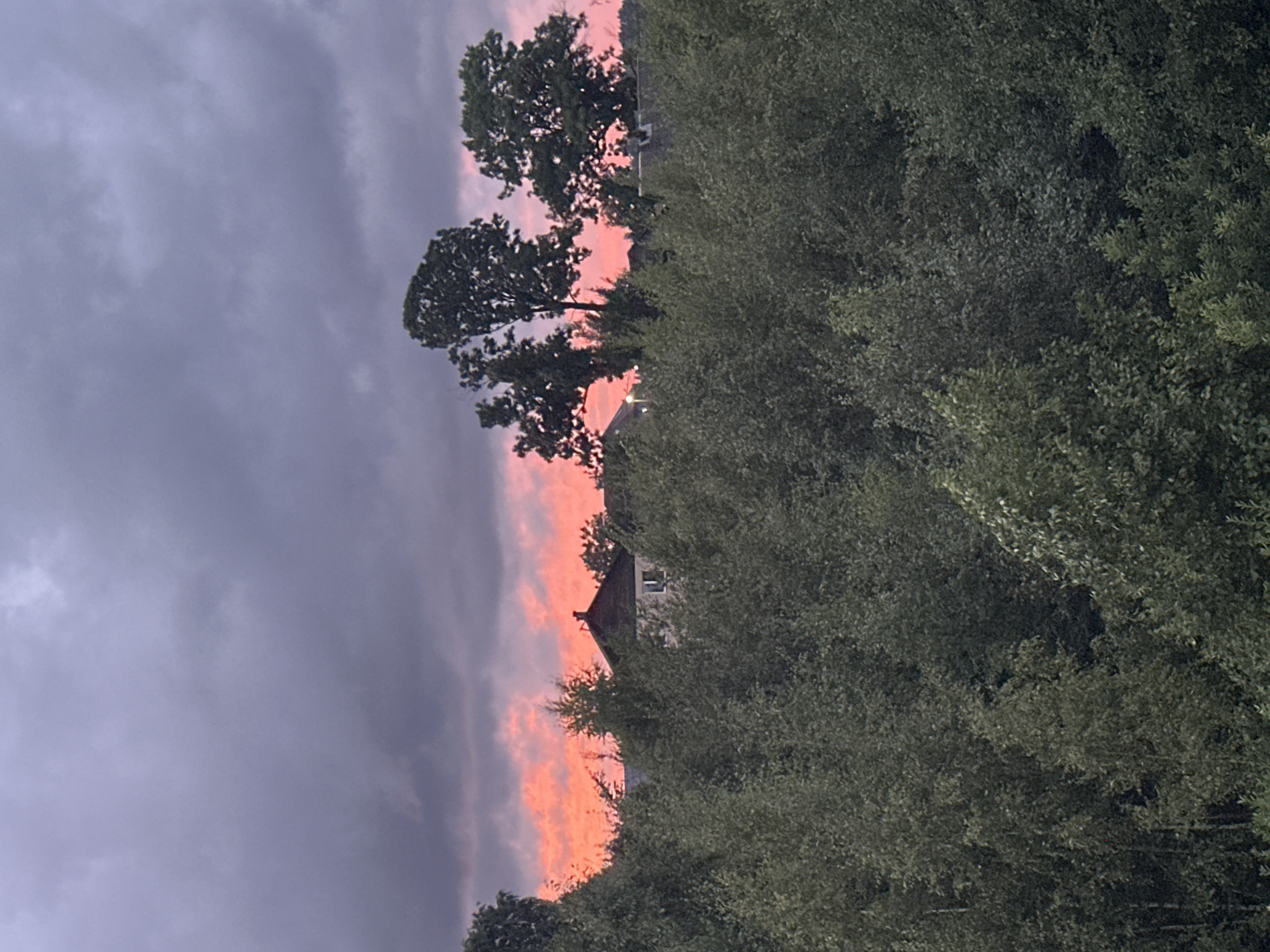 The image captures a serene twilight scene in Virki, Russia, with a vibrant pink and orange sky peeking through dark, brooding clouds. A dense canopy of lush green trees dominates the foreground, their foliage appearing dark and textured against the softer hues of the sky. In the mid-ground, a few buildings are visible, nestled amongst the trees. One building has a distinct dark, gabled roof, and another appears lighter in color with visible windows. The overall atmosphere is one of natural beauty and quietude, with the striking sky providing a dramatic focal point. The image does not contain any people or discernible actions.