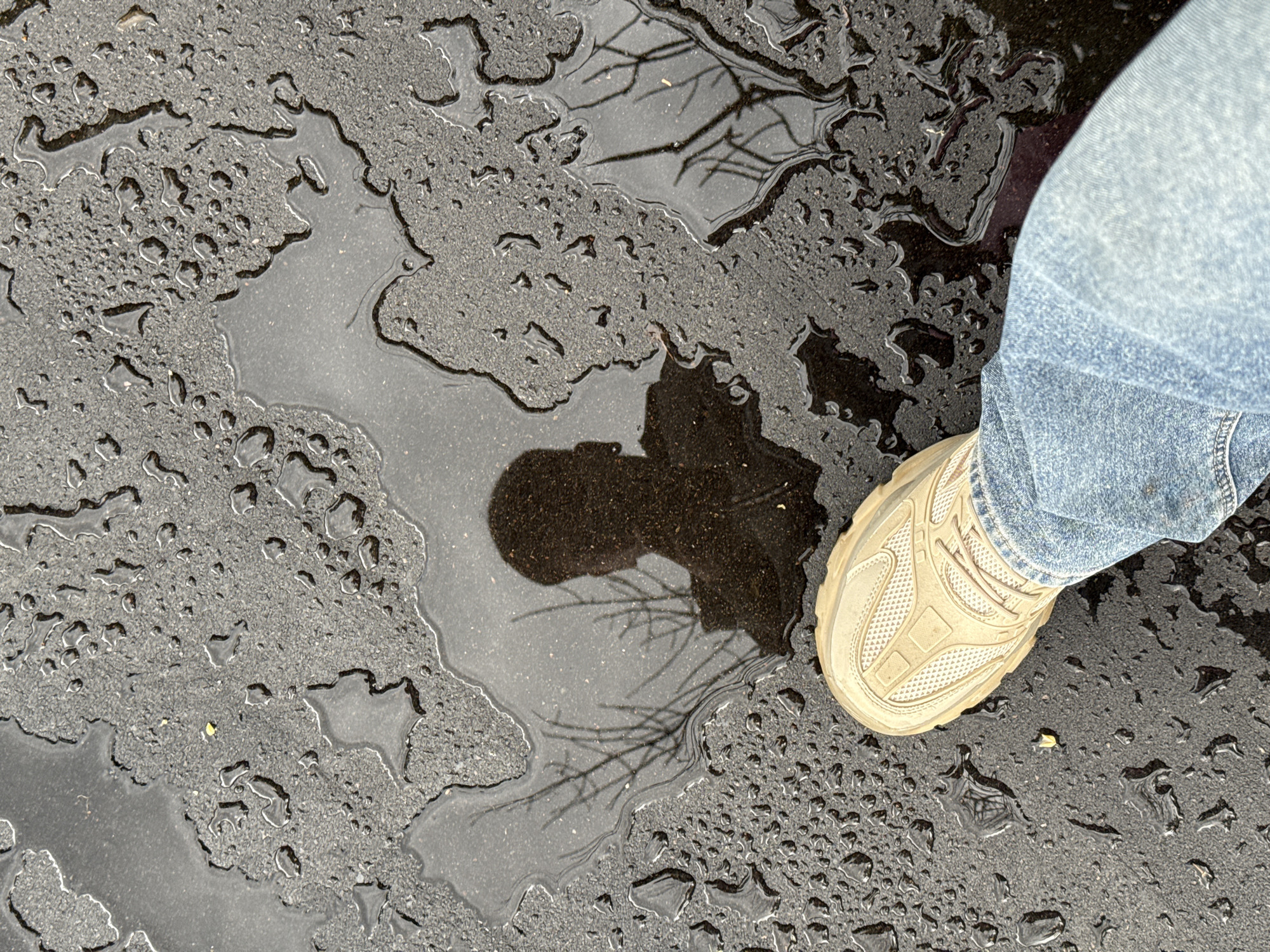 The image shows a person's tan sneaker and blue jeans in the foreground, stepping onto wet asphalt. Puddles and scattered raindrops cover the dark, textured surface. In one of the puddles, there is a reflection of a person's head and shoulders, along with the bare branches of a tree. The scene appears to be an outdoor urban environment, possibly a street or sidewalk. There are no specific landmarks or details to indicate the exact location in Moscow, Russia. The lighting suggests it is daytime.