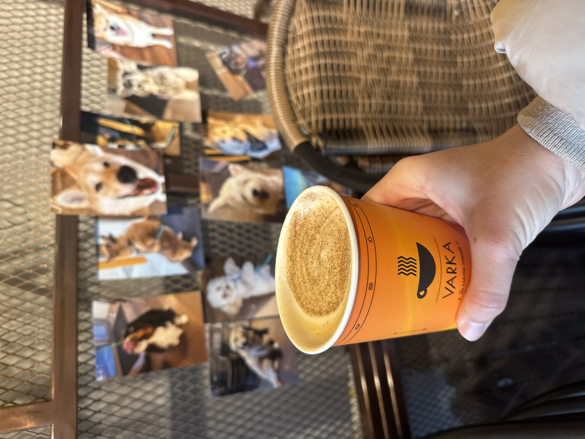 In this image, a person holds an orange Varka coffee cup filled with a frothy beverage dusted with cinnamon. The cup is positioned in the foreground, with the hand holding it partially visible. In the background, a metal grid wall displays several photographs of dogs. The environment suggests an indoor cafe or establishment. The text on the cup reads "VARKA" and some Cyrillic text beneath it. The overall lighting is soft, creating a cozy atmosphere. The scene depicts a moment of relaxation, enjoying a drink in a dog-themed cafe.