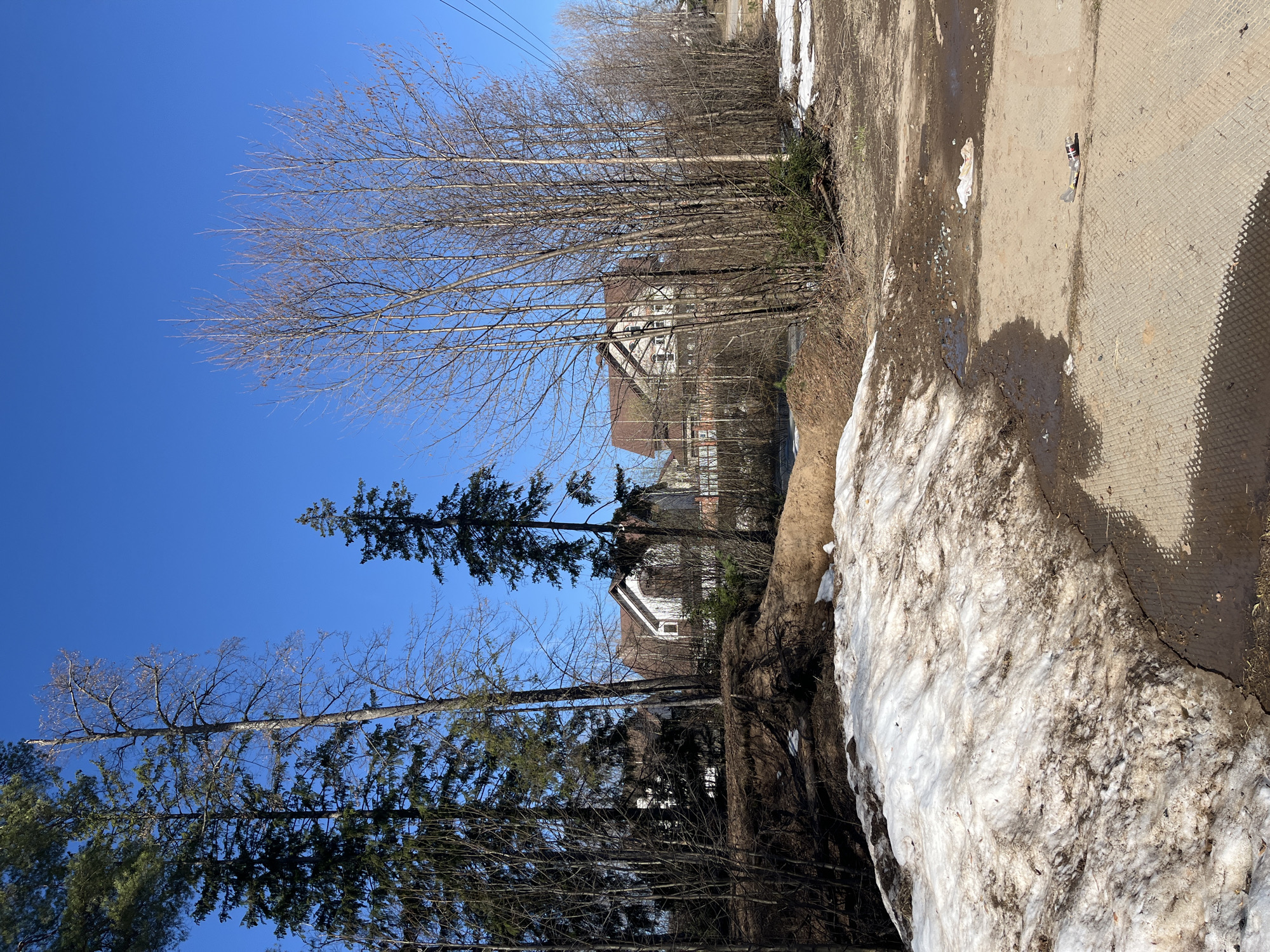 The image shows a winter scene in Chaikovsky, Russia. A patch of melting snow lies along the right edge of the frame, adjacent to a dirt and concrete surface. A line of bare trees and evergreen trees separates the foreground from a distant view of buildings with red and white roofs. The sky is a clear, bright blue. There is a road with garbage visible on the right side of the image. Powerlines are visible.