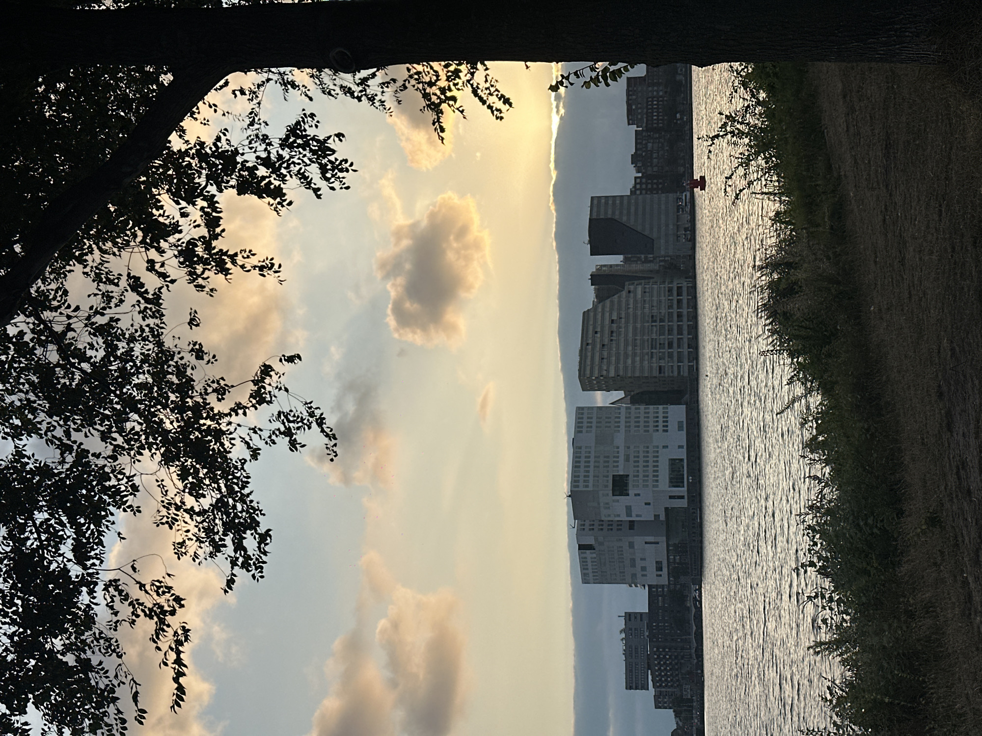 This image depicts a silhouetted view of trees in the foreground, framing a body of water with a city skyline in the background. The sky features clouds illuminated by the setting sun, creating a warm glow. The city skyline is characterized by modern architectural designs, with a prominent white building with a grid-like facade being particularly noticeable. There is a red buoy in the water. The location is the IJ waterfront in Amsterdam, Netherlands, specifically the eastern part of the city, known for its contemporary architecture and development. The scene captures a tranquil evening atmosphere.