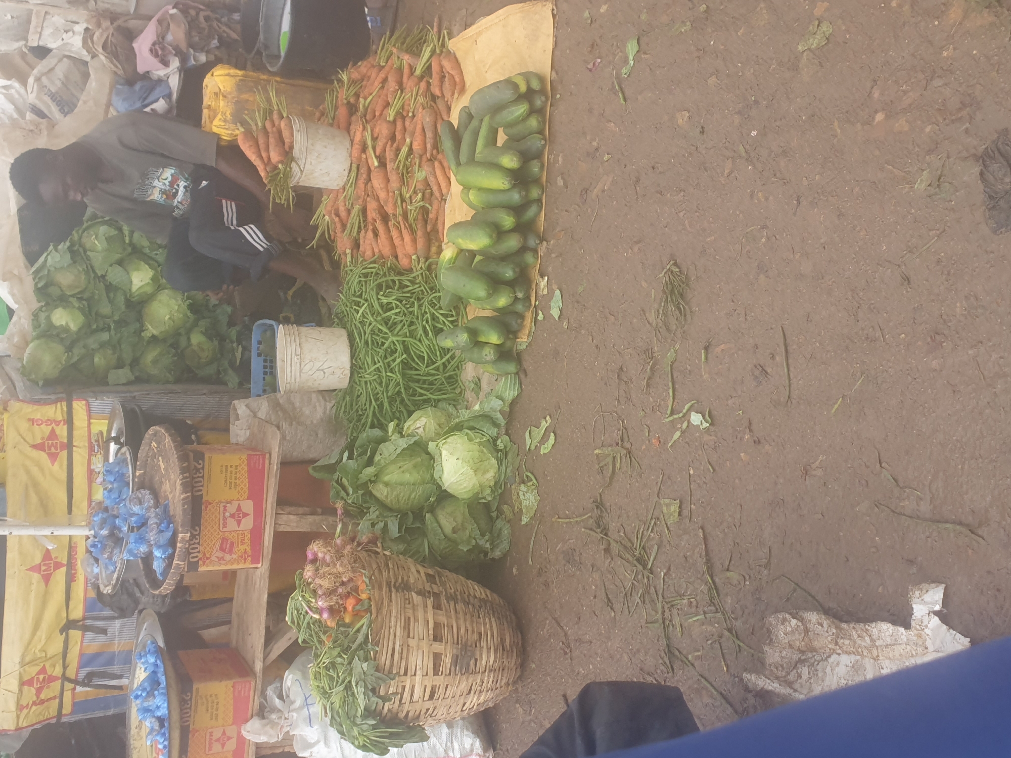 This is a tilted, medium shot of a market stall in Rafin Par, Nigeria, displaying a variety of fresh produce. The main subject is a vendor, a young man with dark skin and short dark hair, wearing a grey t-shirt and dark pants with white stripes. He is seated amidst the vegetables.
The stall is laden with colorful produce, including a large pile of vibrant orange carrots, green beans, several heads of cabbage, and a basket overflowing with onions and small carrots. A cluster of cucumbers is neatly arranged on a piece of yellow cloth.
Several objects are visible, including yellow sacks with "MAGGI" branding, wooden crates with "STAR" branding and the number "2300," and a woven basket. There are also white buckets and blue plastic bags, some containing blue items that resemble flowers or decorations. The ground is made of dirt, with scattered debris and dried plant matter.
The scene suggests a typical daytime market operation, likely in an outdoor setting. The lighting appears to be natural, indicating it's daytime. There are no explicit cues about the weather. The overall impression is one of a busy marketplace, with a focus on fresh food sales. The visible text confirms the presence of branded products commonly found in Nigerian markets.