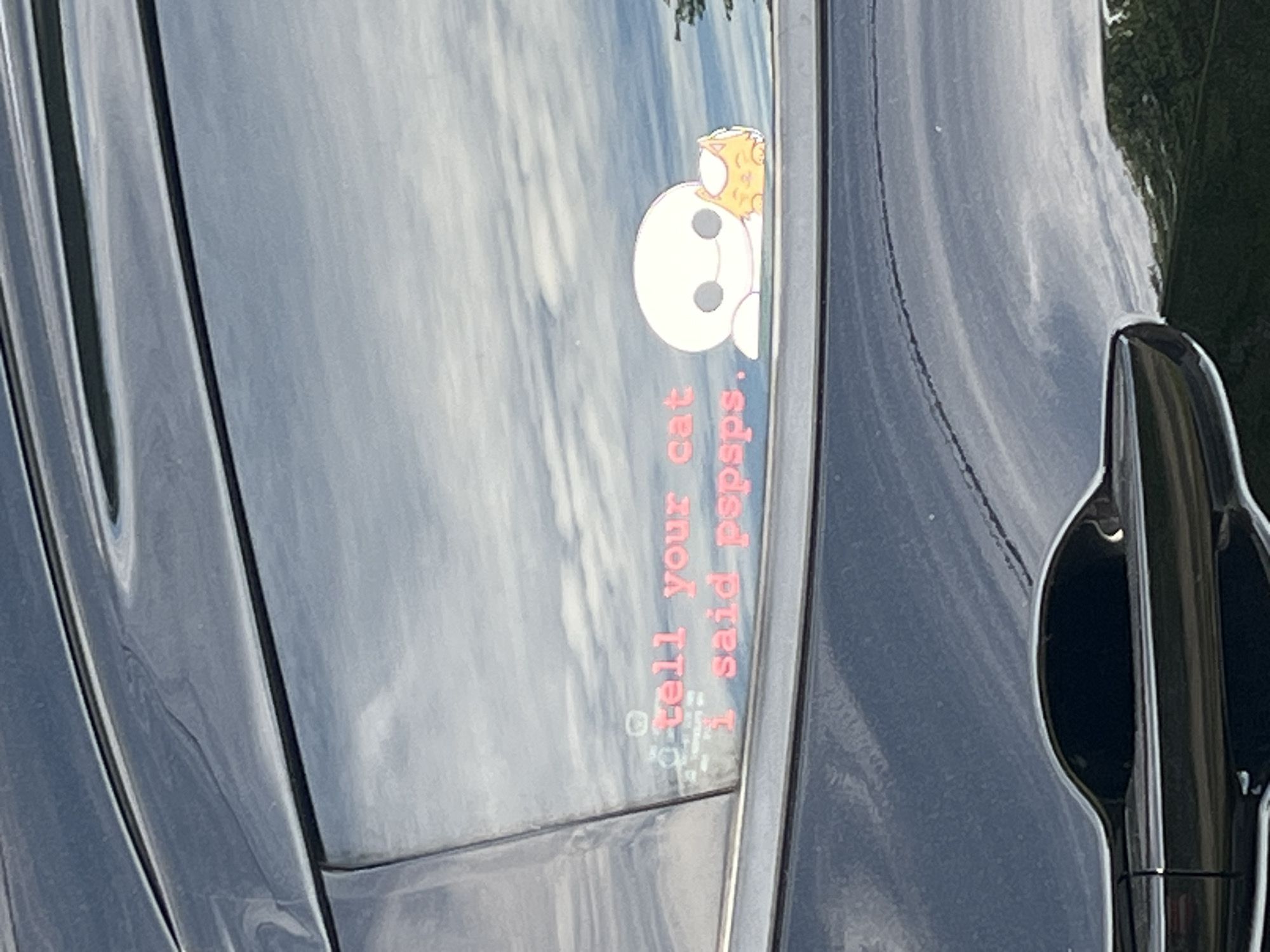 The image shows a close-up of the passenger window of a dark-colored vehicle. The window has a decal featuring a white, rounded figure with two black dots for eyes and a smaller orange and yellow figure on top. Below the decal, the words "tell your cat I said pspsps." are printed in pink. The reflection in the window shows trees and sky, suggesting the vehicle is outdoors. The image was taken in City of Newburgh, United States of America. The reflections on the car door show sky, suggesting a sunny day. A rearview mirror is visible on the right side of the frame.