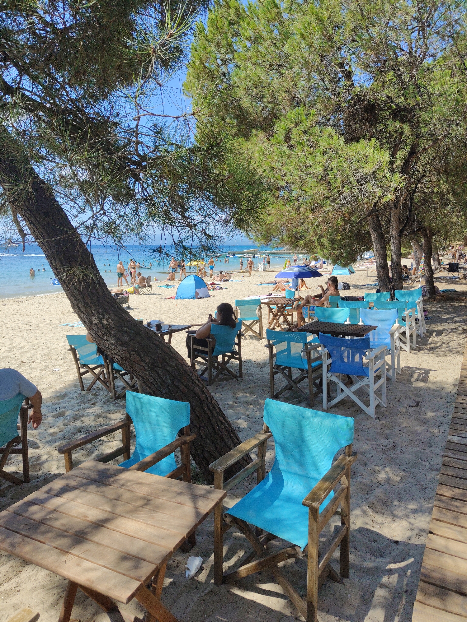 The image depicts a beachfront cafe setting in an outdoor environment, likely in Greece given the context. The scene is characterized by sandy terrain with a wooden walkway on the right. Numerous wooden tables and chairs, predominantly in shades of blue and turquoise, are arranged on the sand. Some tables have drinks on them, suggesting patrons have been served. In the background, the sea is visible with several people swimming and relaxing on the beach, some under umbrellas. Lush green pine trees provide shade over the seating area and extend towards the beach. A large tree trunk is prominent in the foreground, leaning over a table and chairs. The overall atmosphere appears relaxed and summery.